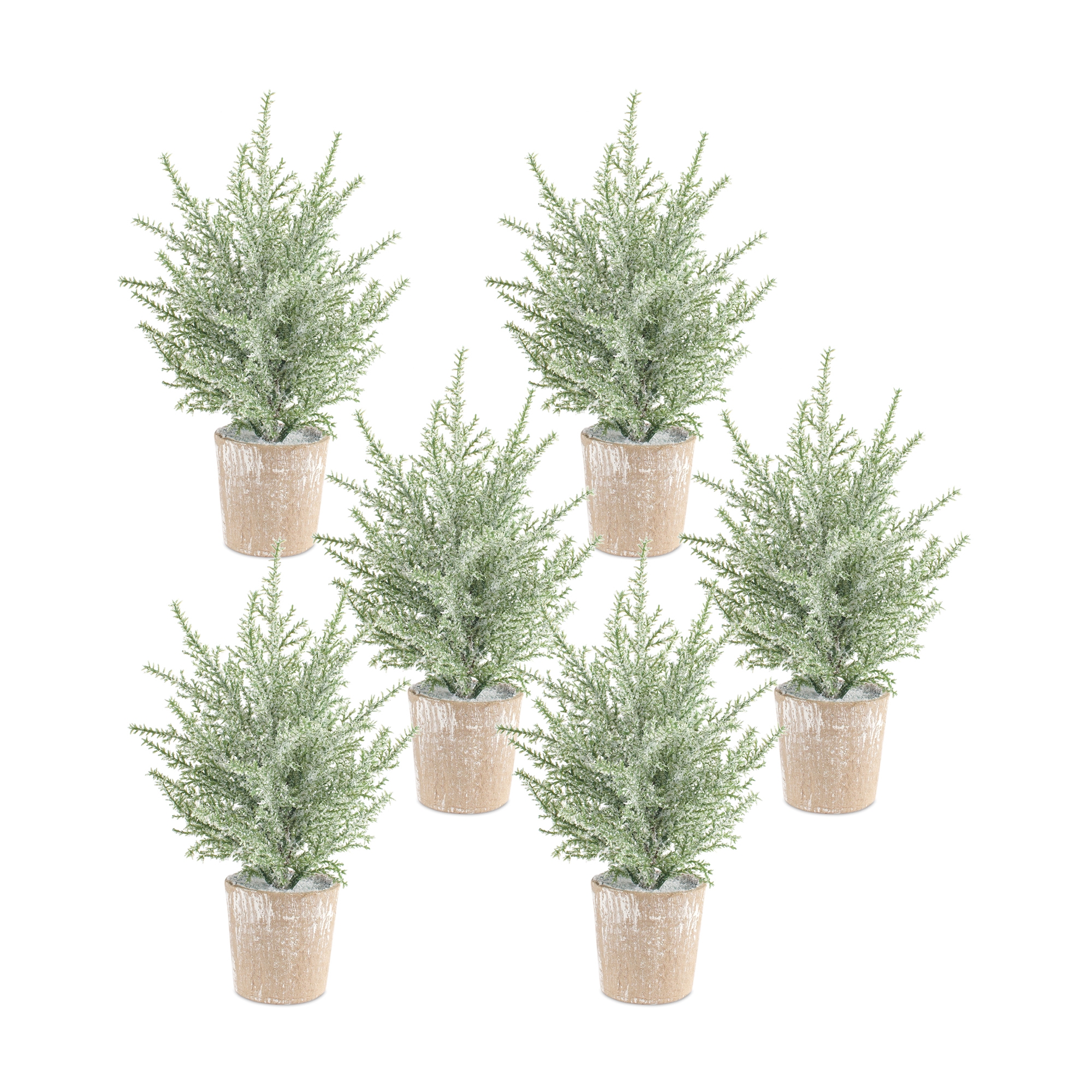 Potted Icy Pine Tree (Set of 6) 12