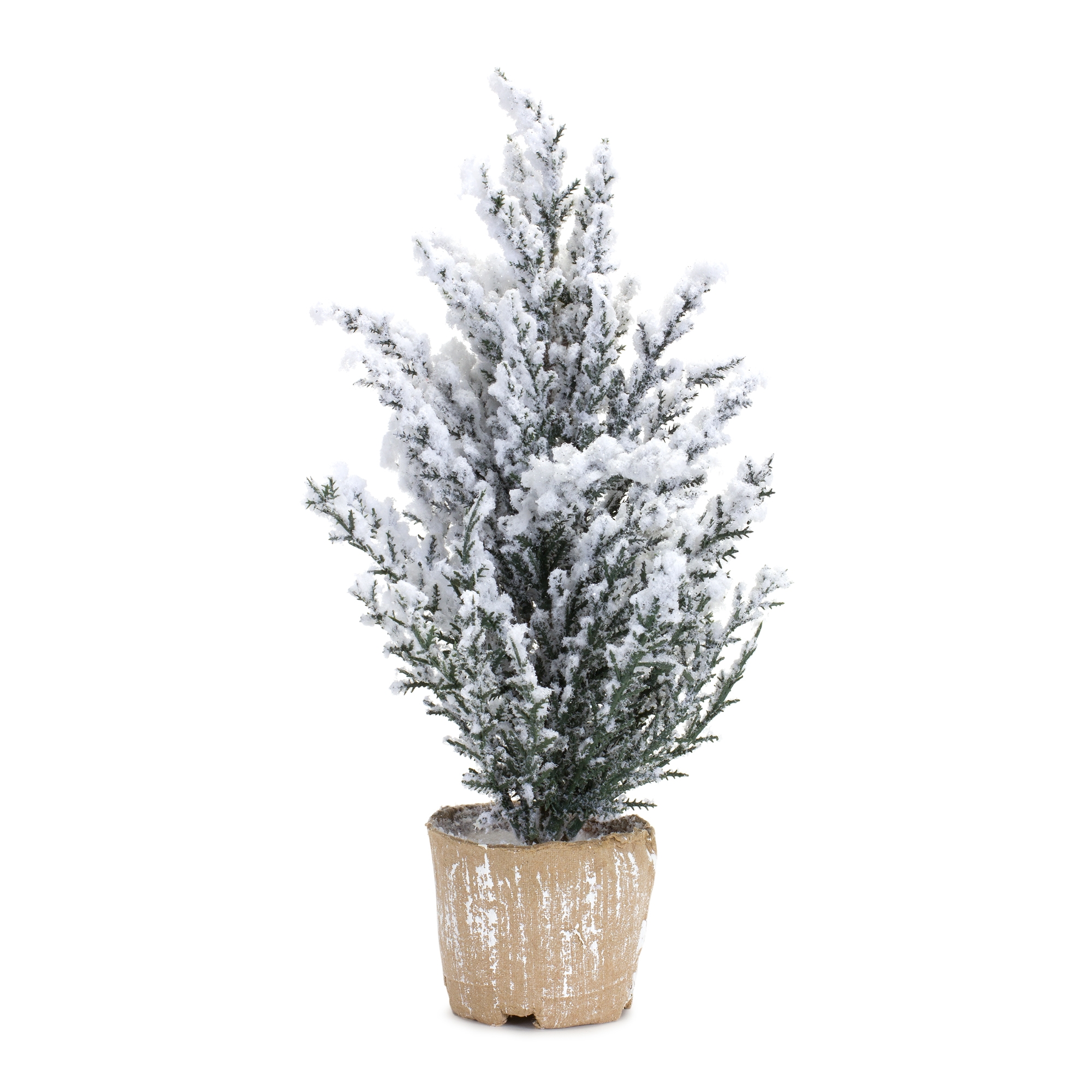 Potted Snowy Pine Tree (Set of 6) 12