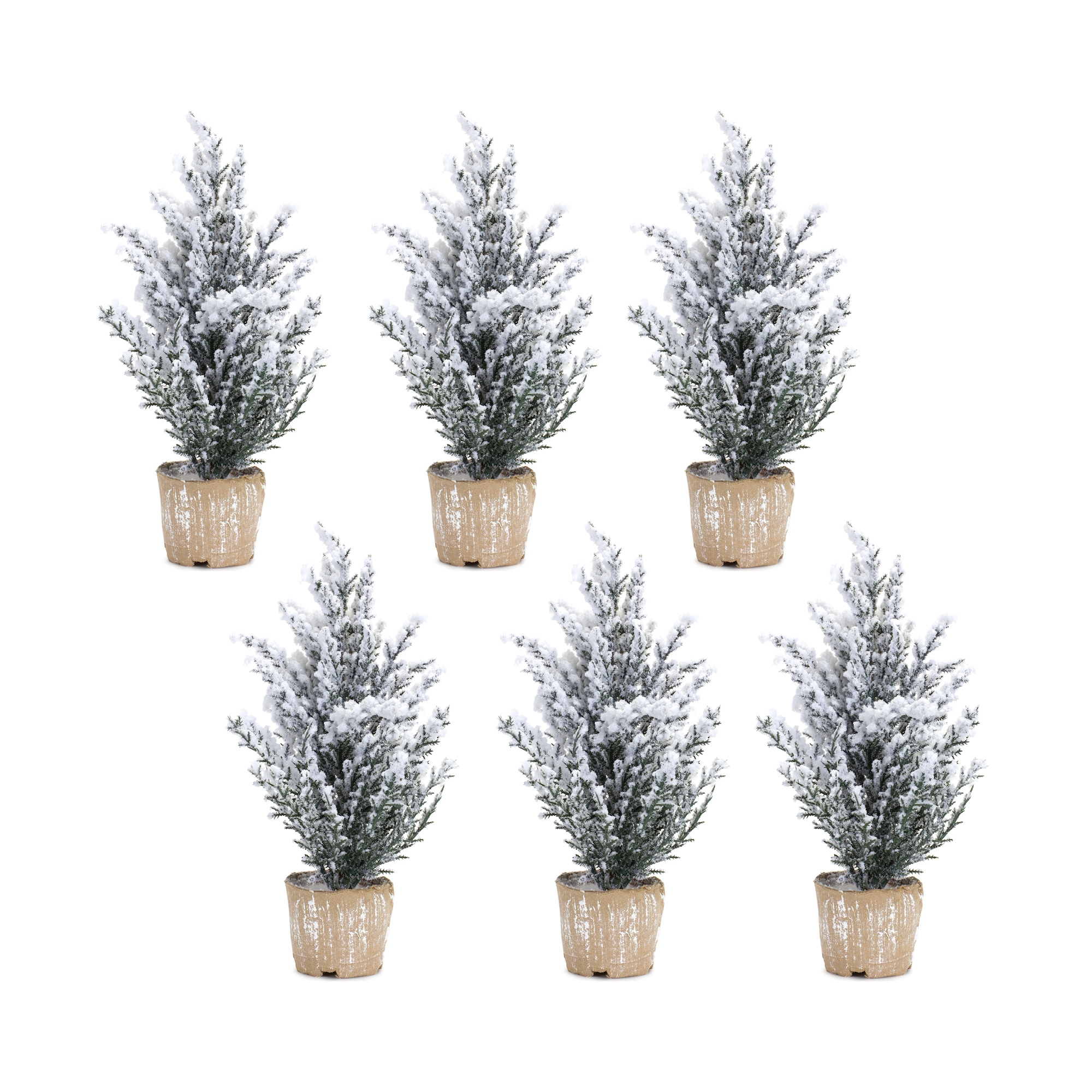 Potted Snowy Pine Tree (Set of 6) 12