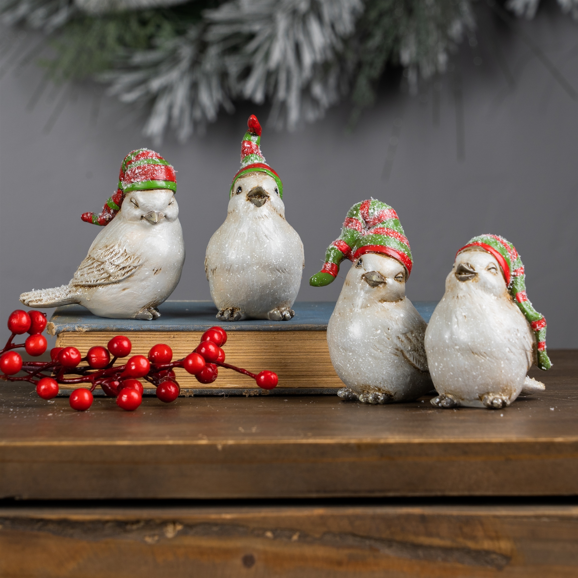 Bird w/Stocking Hat (Set of 12) 3