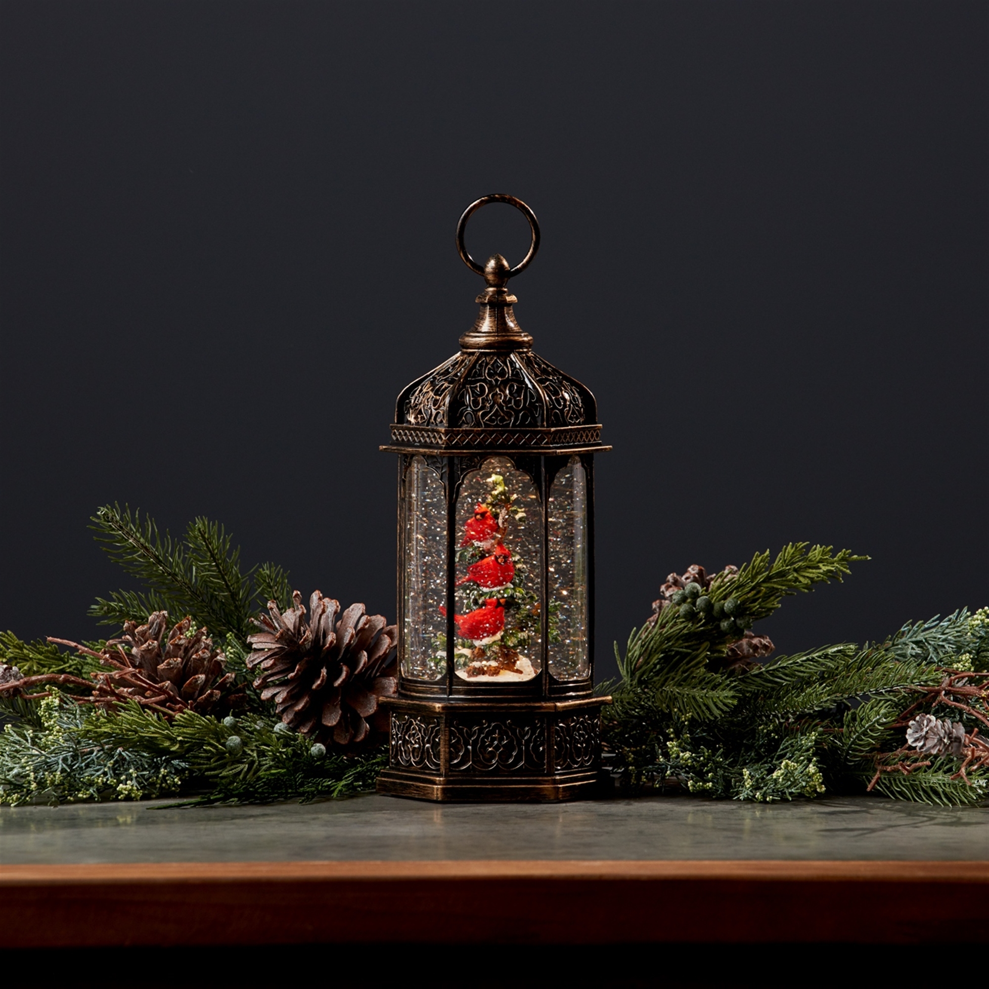 Snow Globe w/Cardinals 13