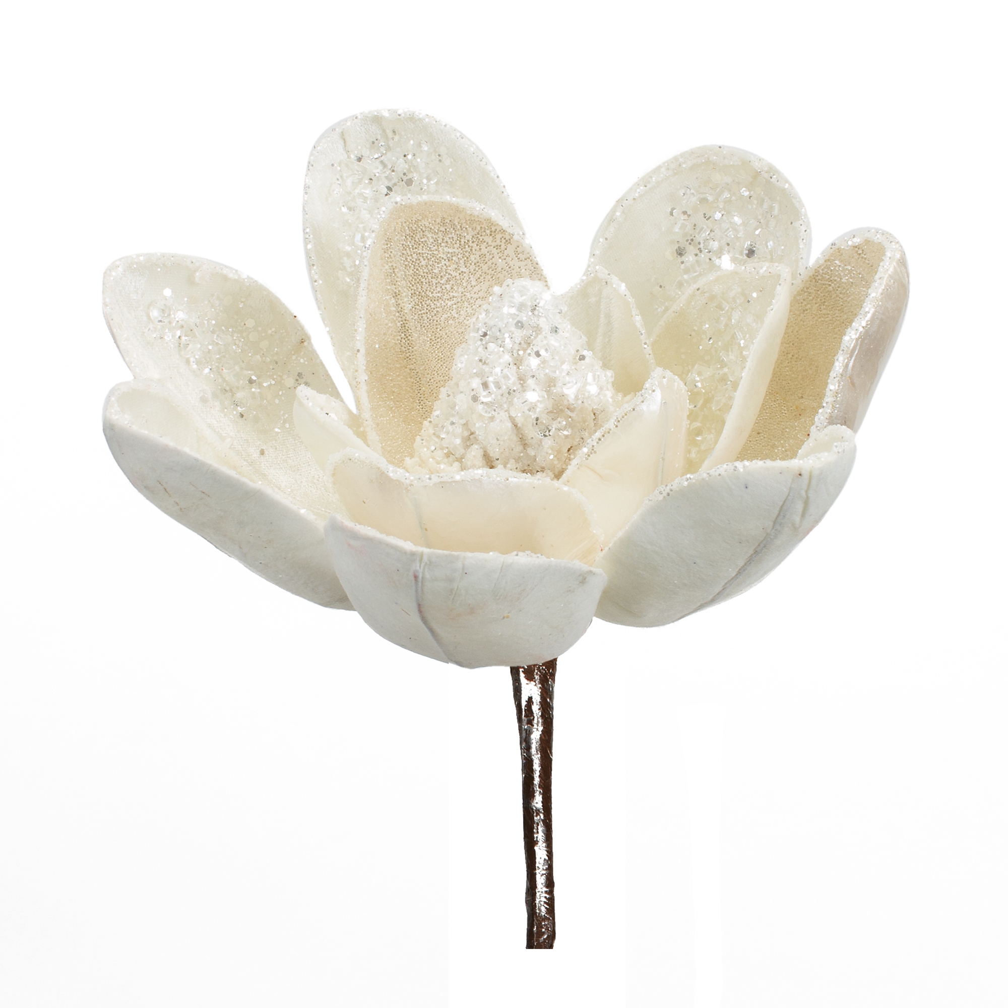 Magnolia Stem (Set of 6) 20