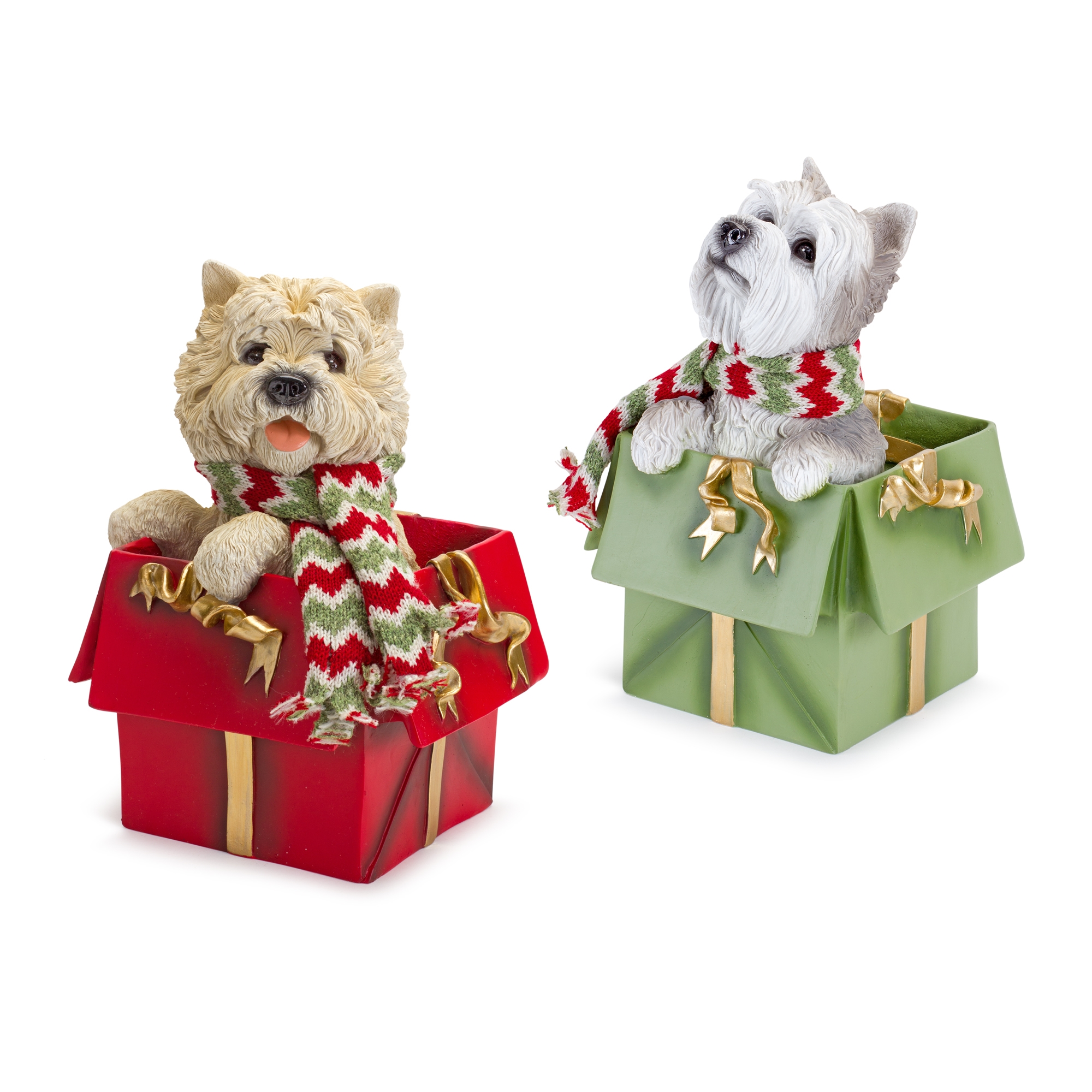 Dog in Package (Set of 2) 11