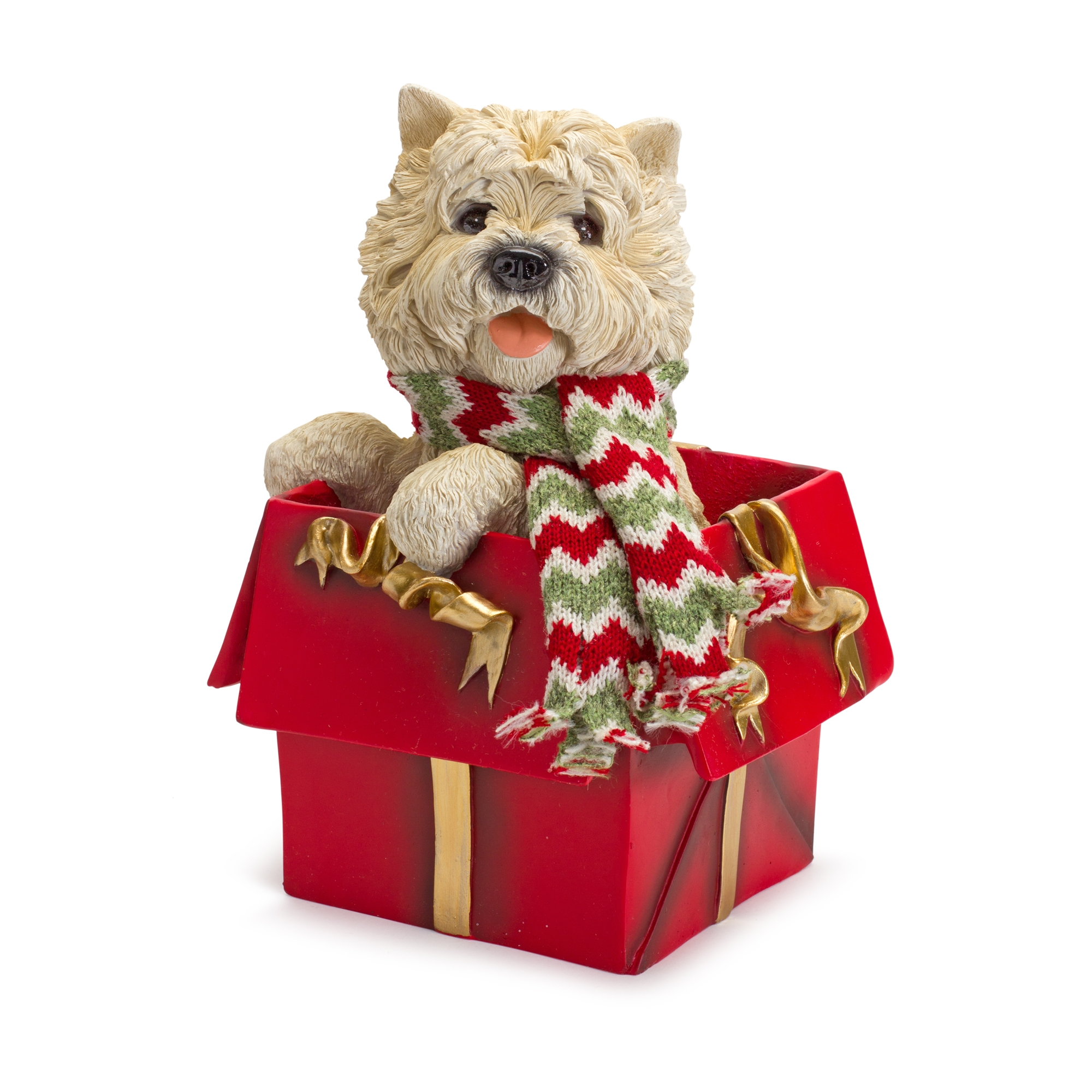 Dog in Package (Set of 2) 11