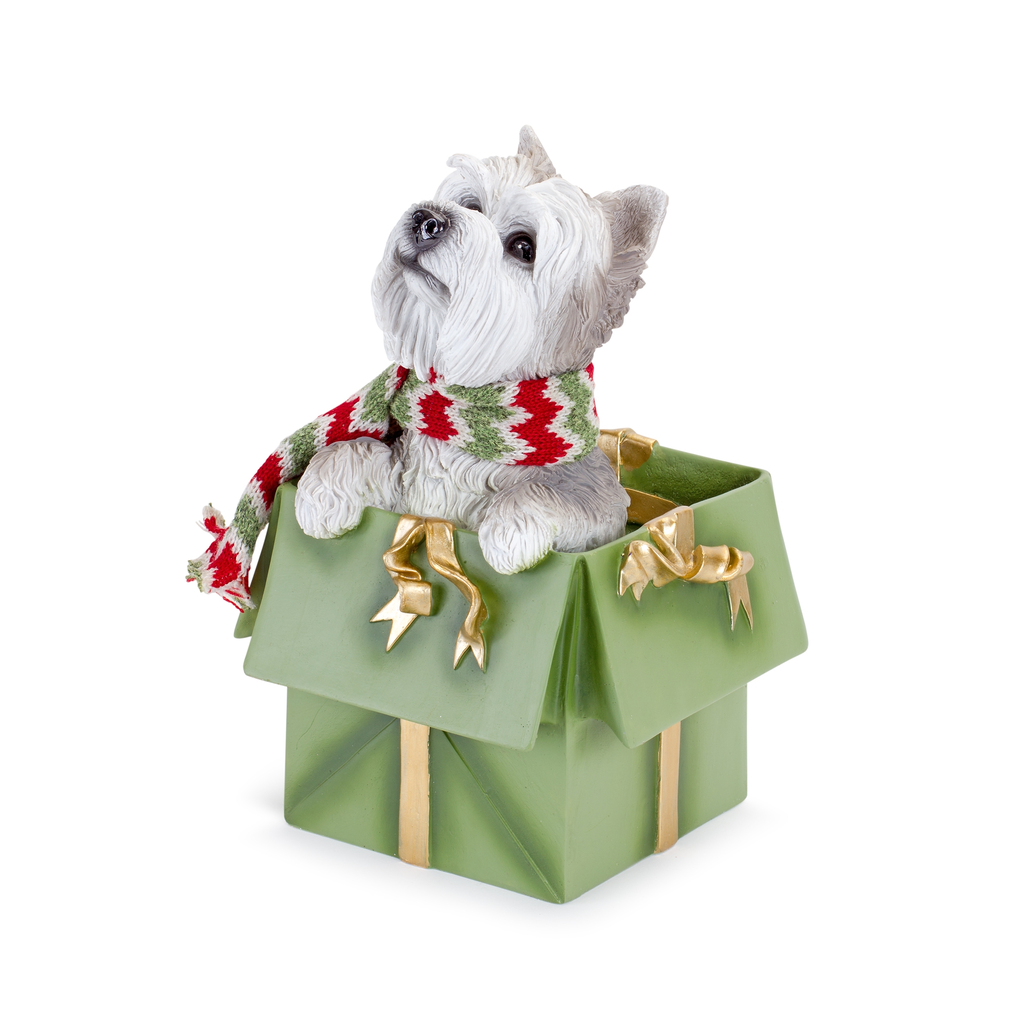 Dog in Package (Set of 2) 11