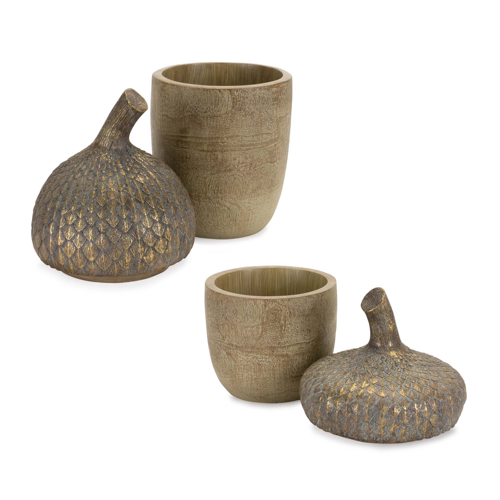 Acorn Box (Set of 2) 5.25