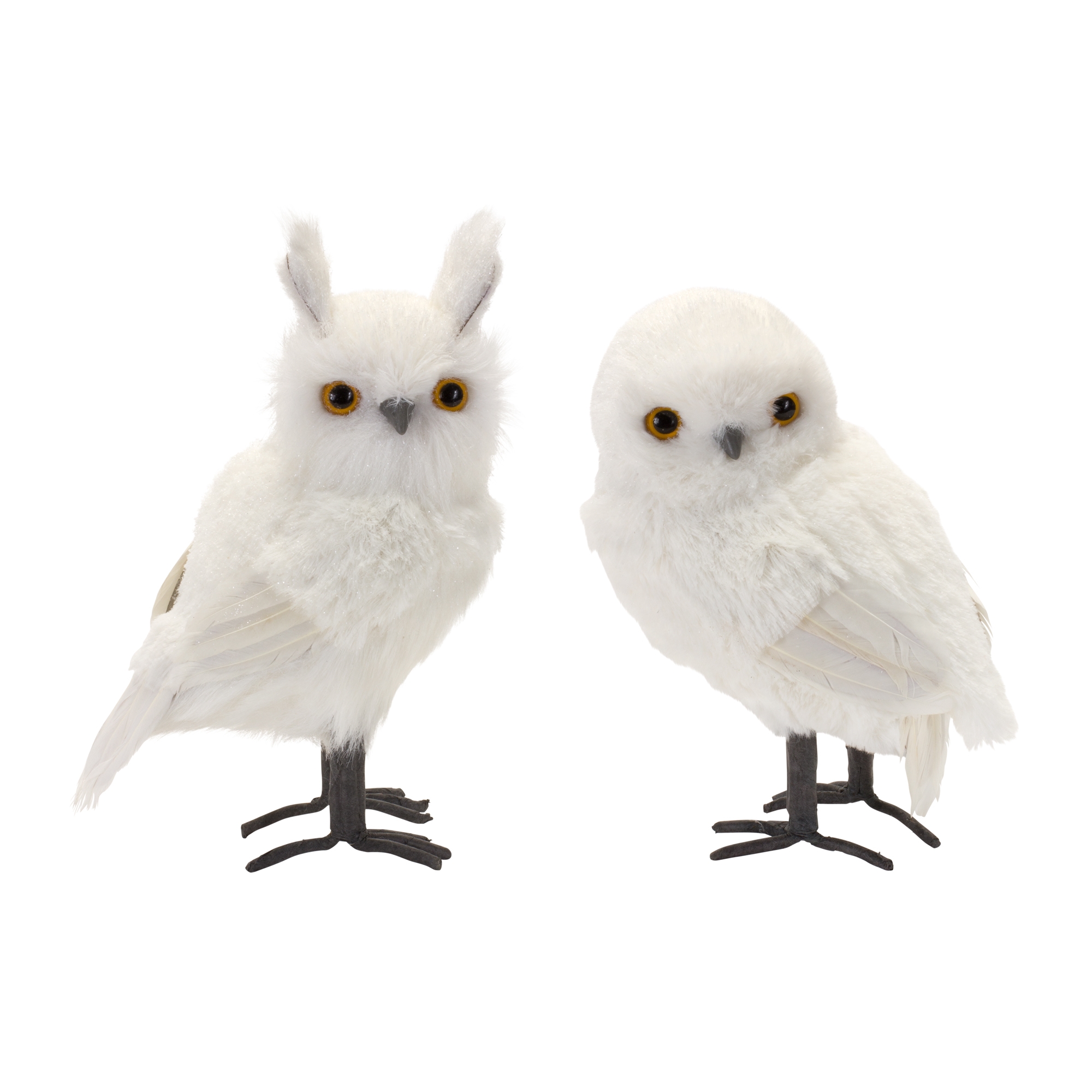 White Owl (Set of 4) 8.75