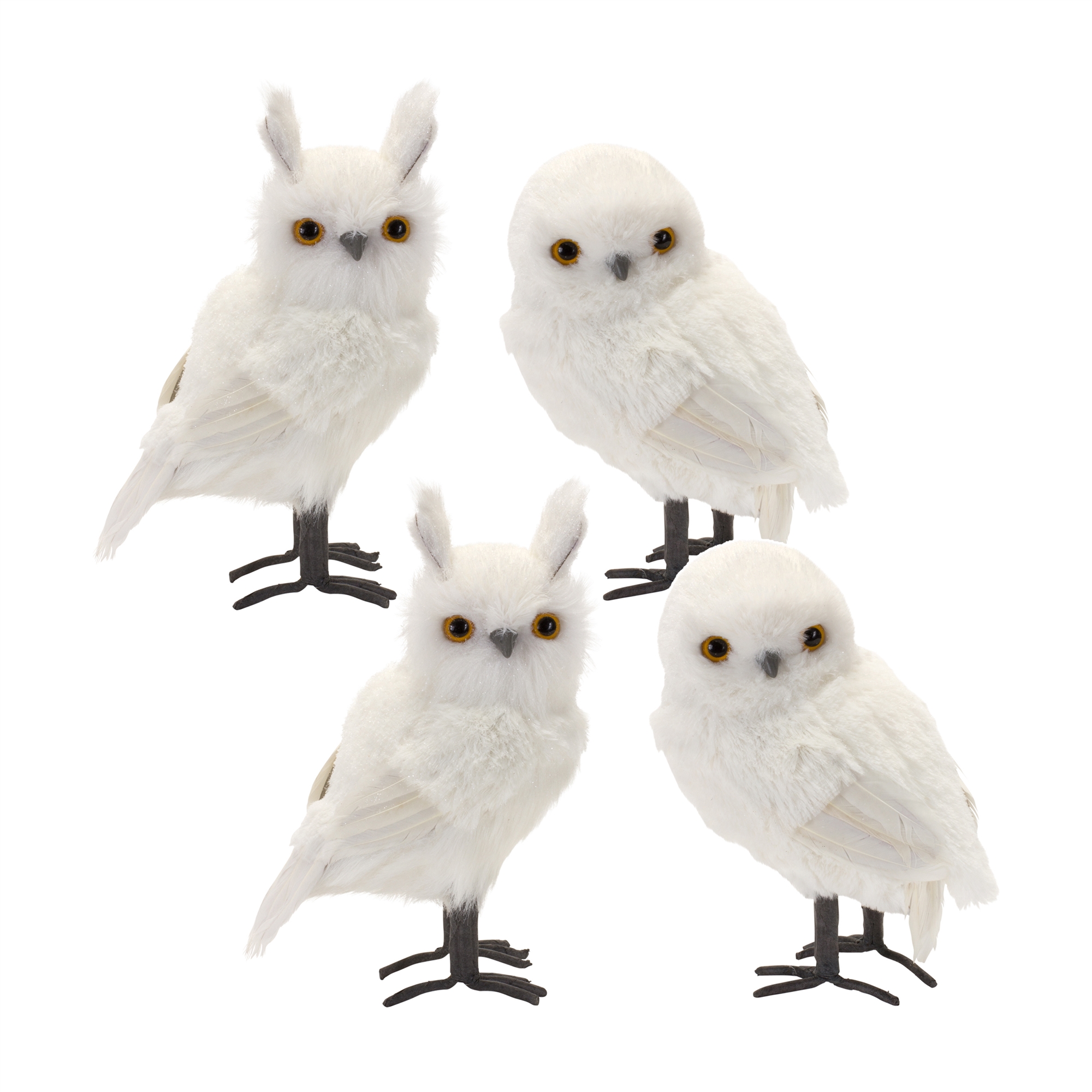 White Owl (Set of 4) 8.75