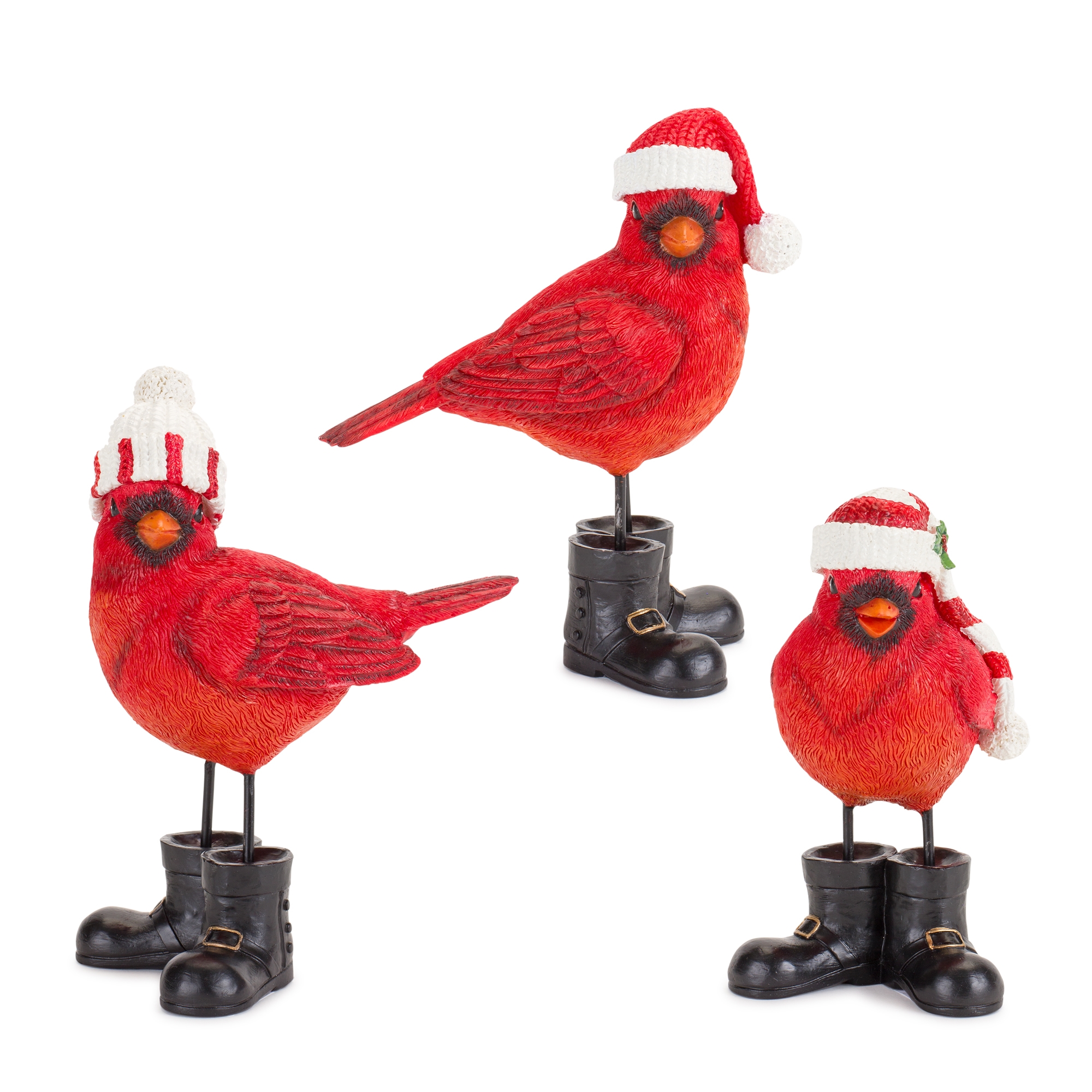 Cardinal (Set of 3) 5.5