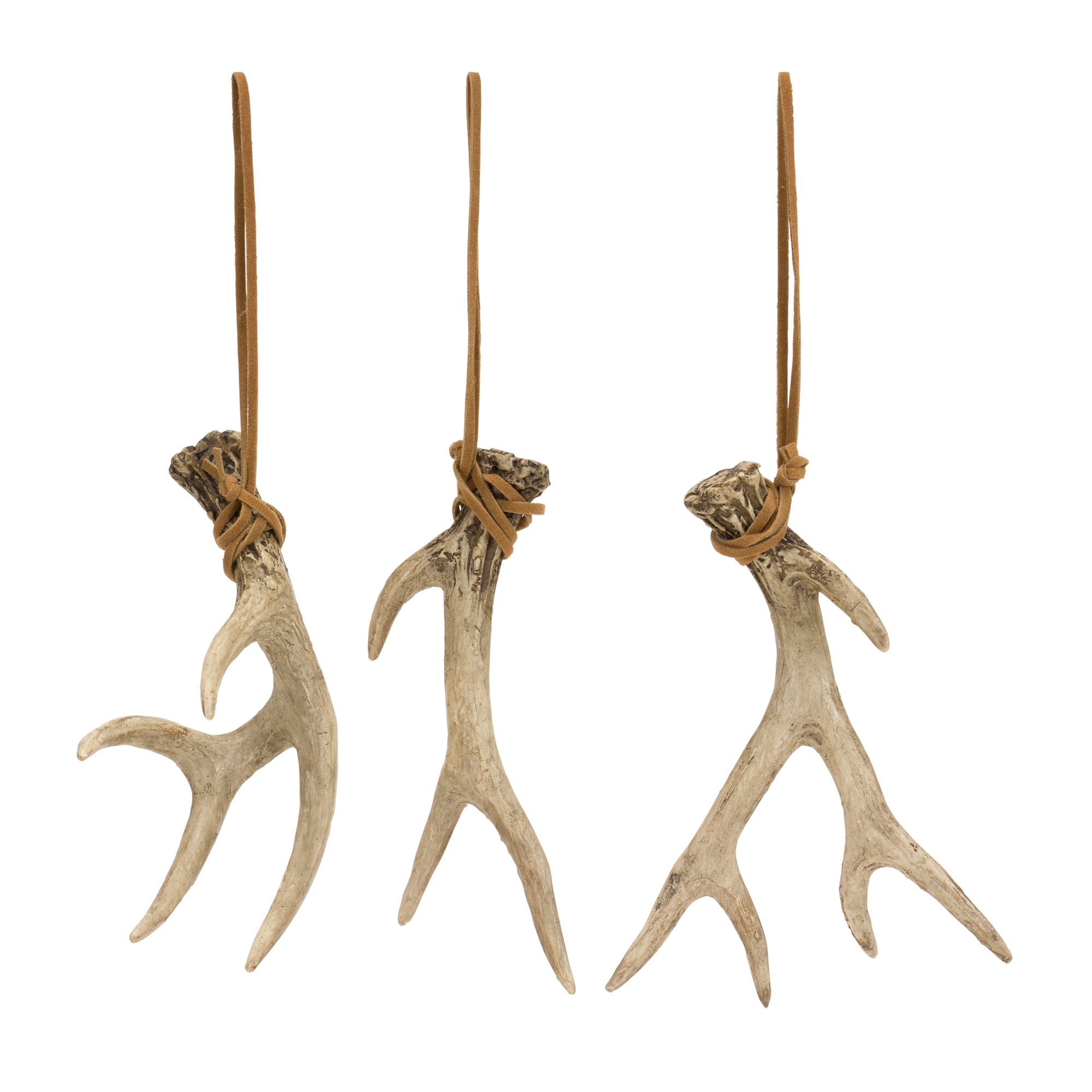 Antler (Set of 12) 5