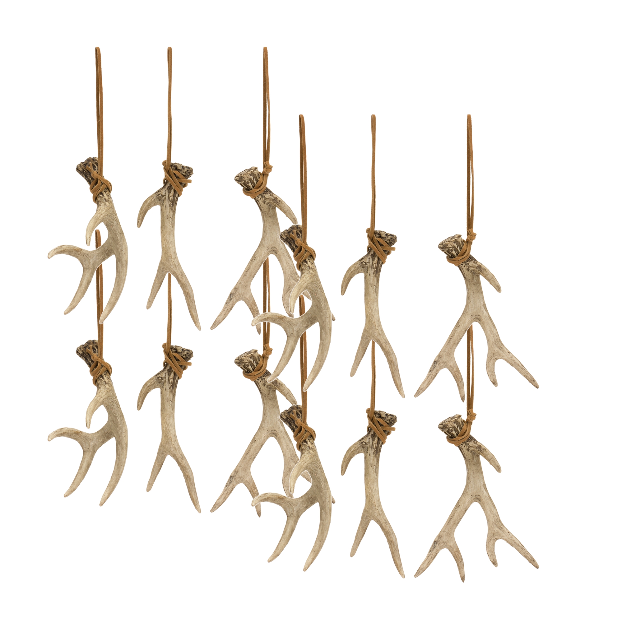 Antler (Set of 12) 5