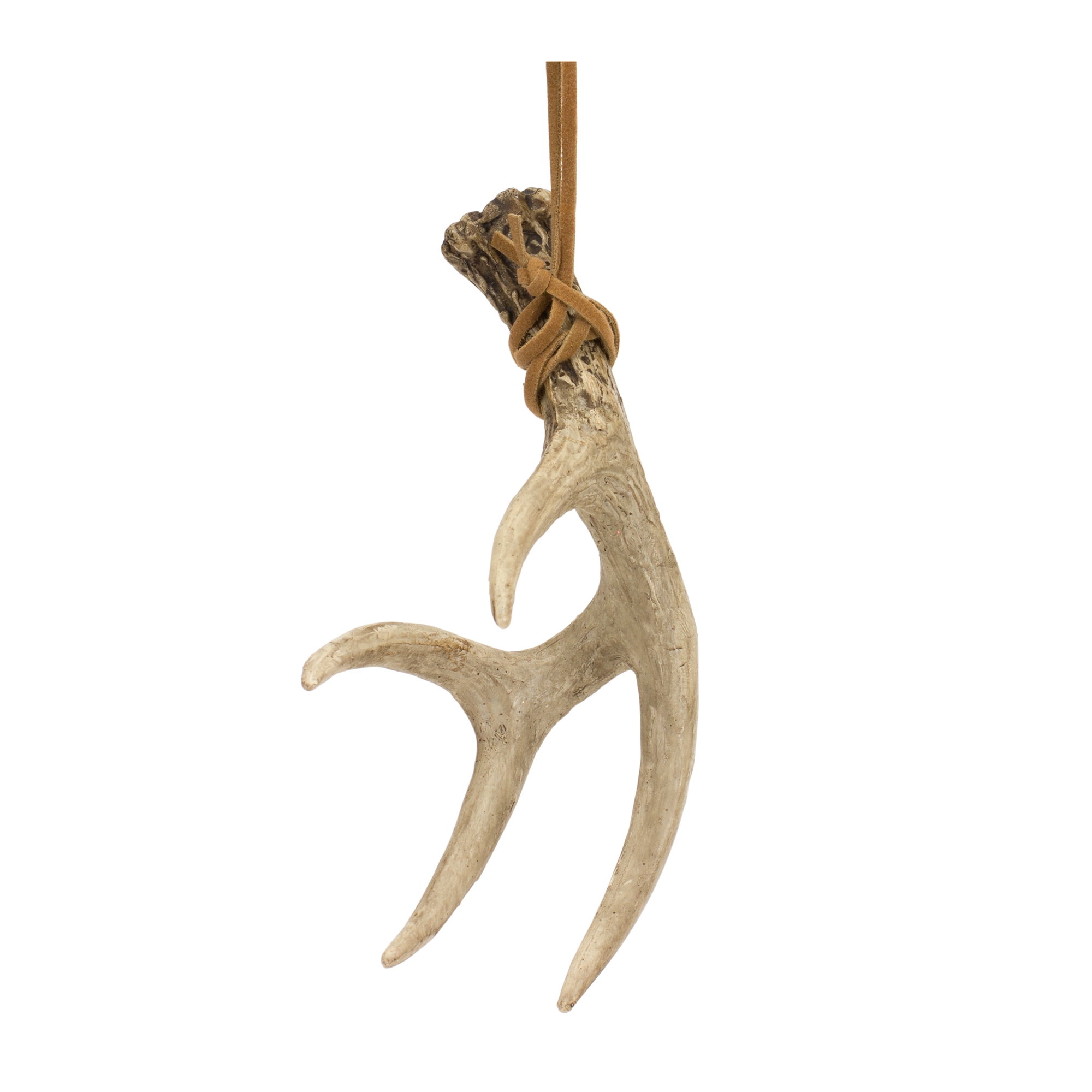 Antler (Set of 12) 5