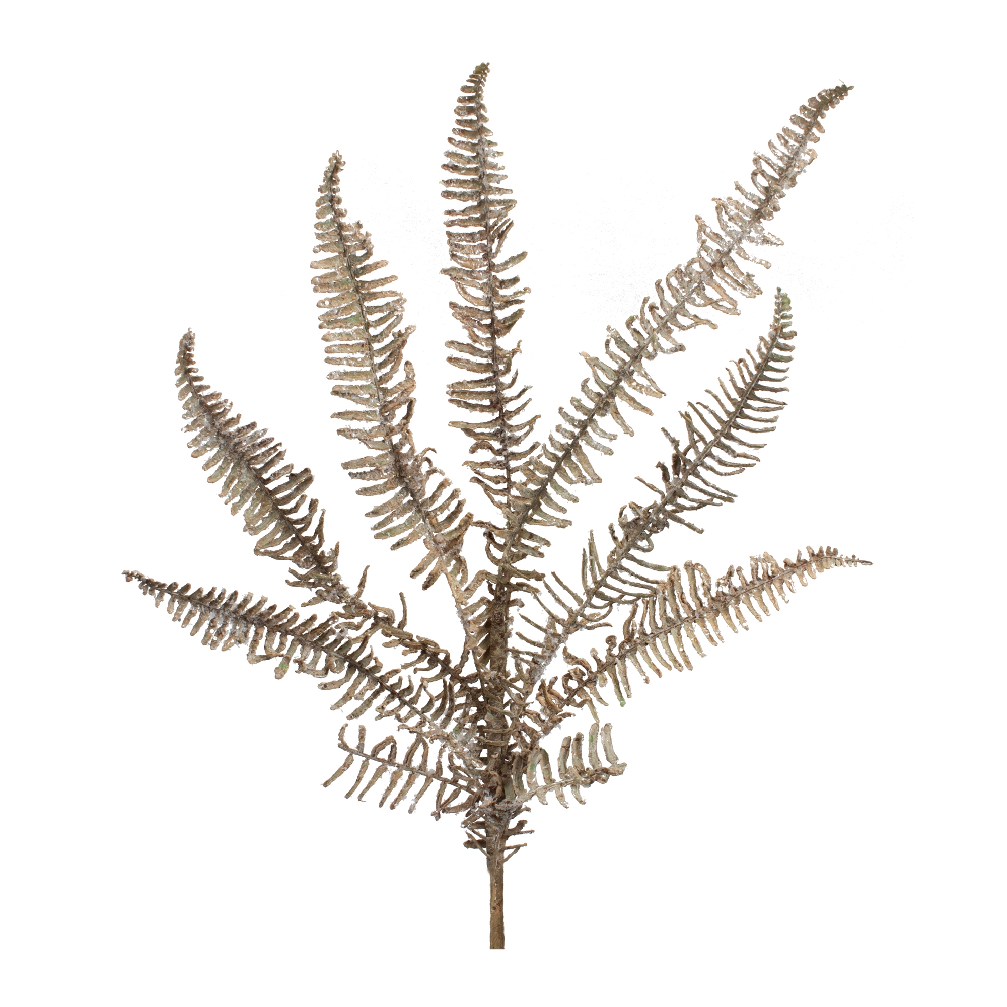 Icy Fern Spray (Set of 6) 32
