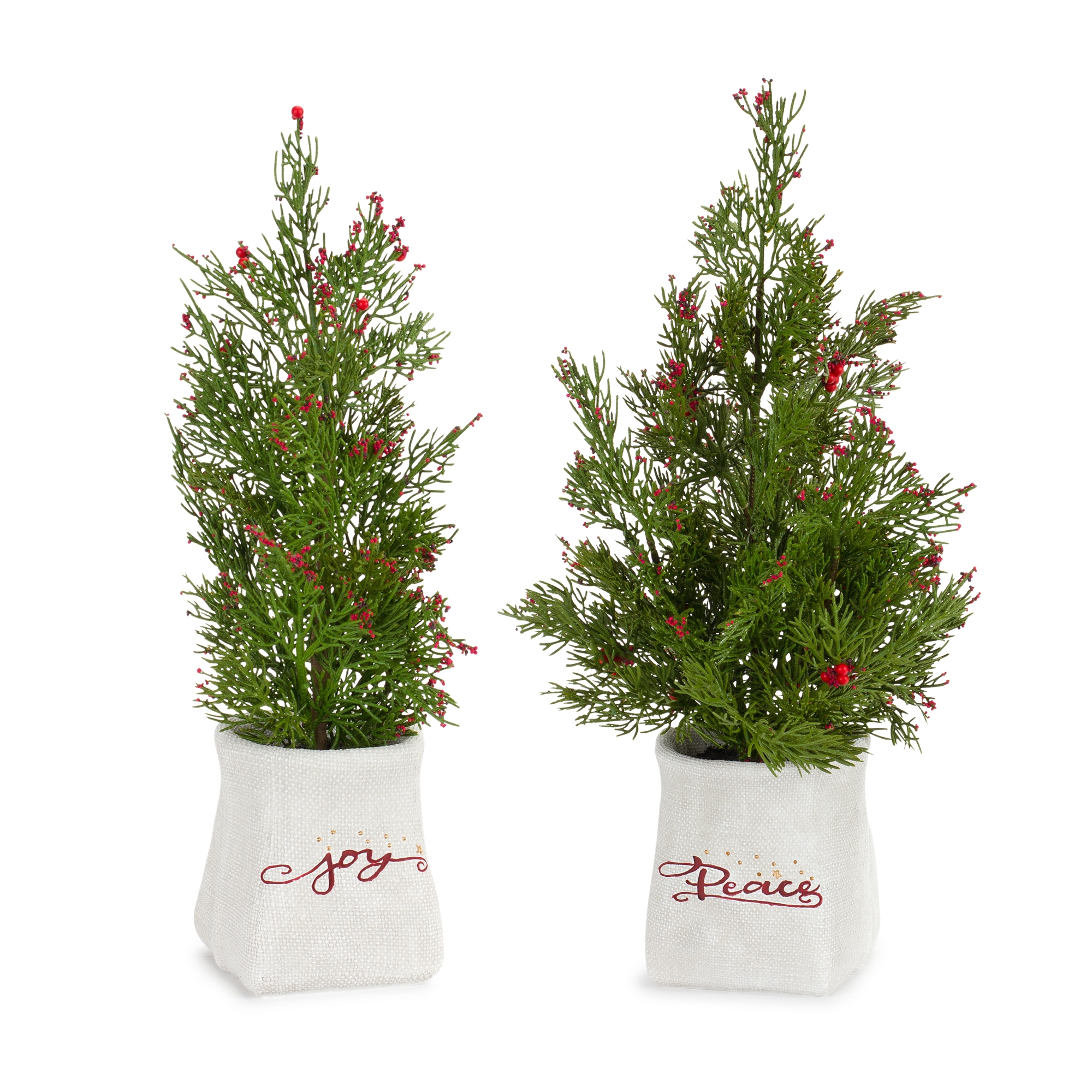 Potted Tree (Set of 2) 14.25