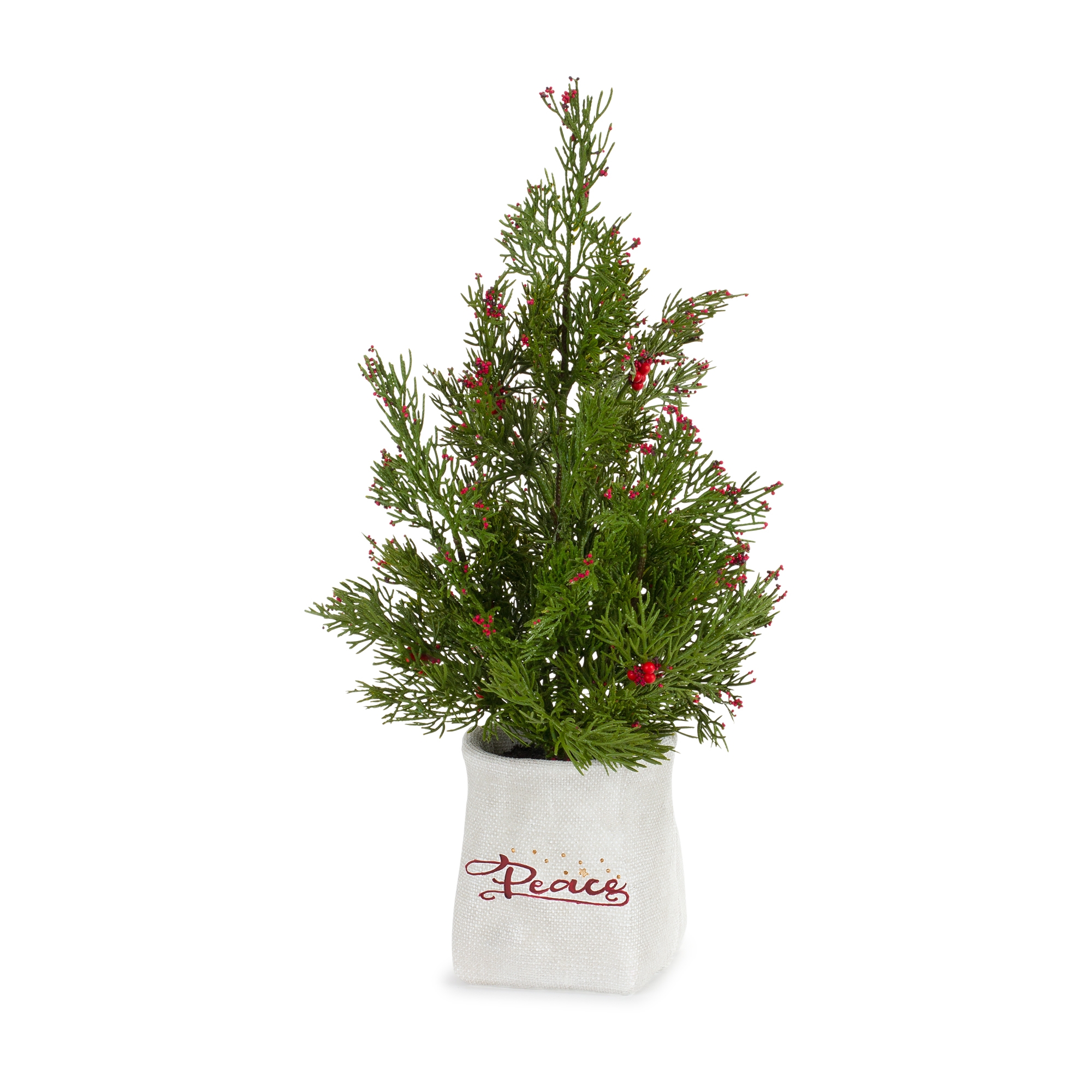 Potted Tree (Set of 2) 14.25
