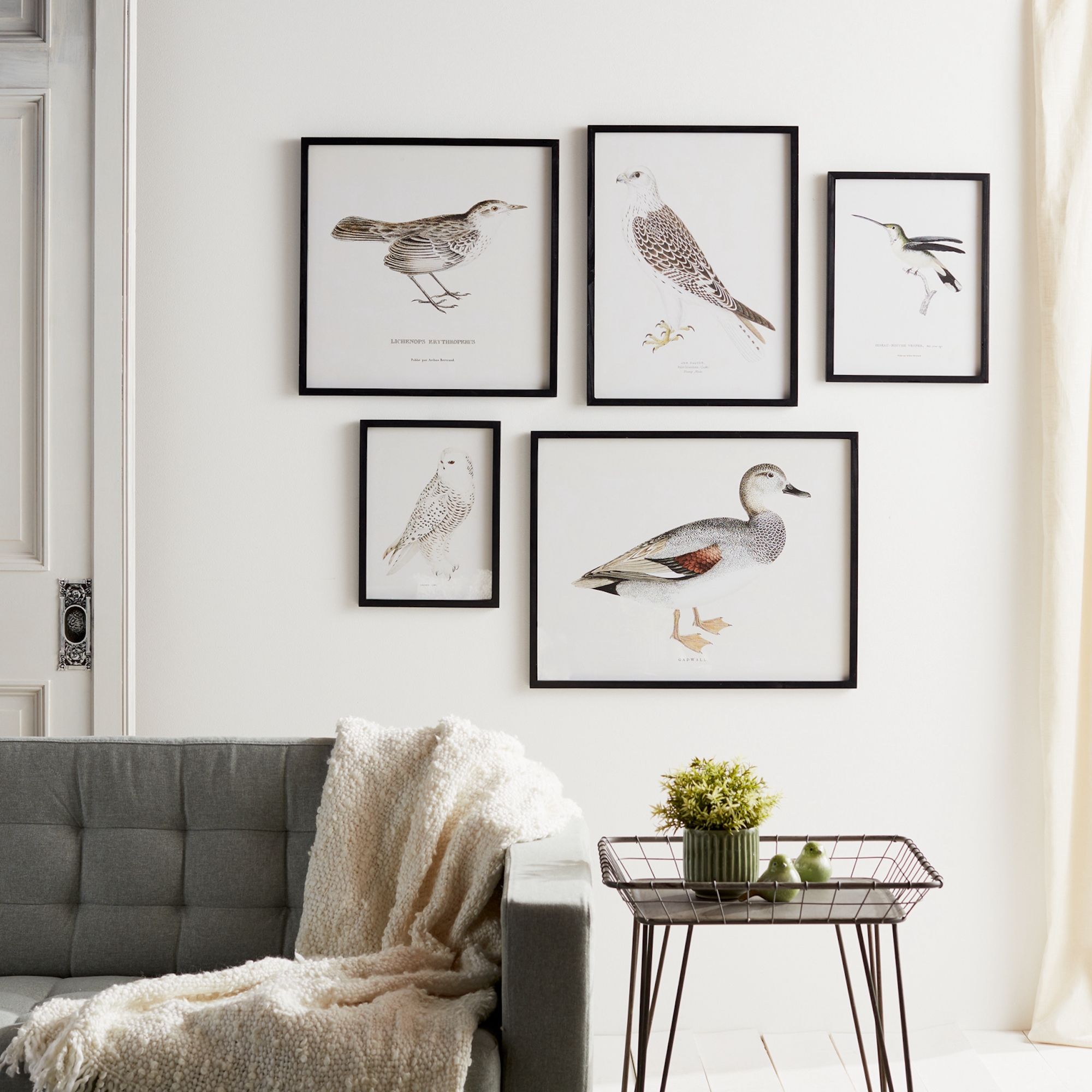 Bird Print Frame (Set of 5) 15.75