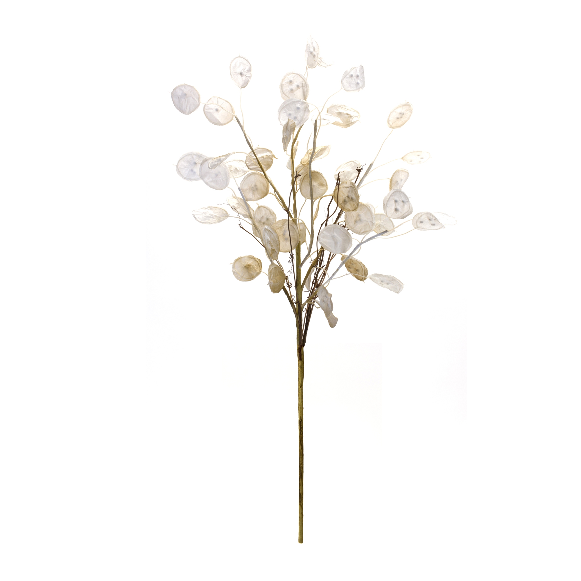 Silver Dollar Spray (Set of 6) 31.5