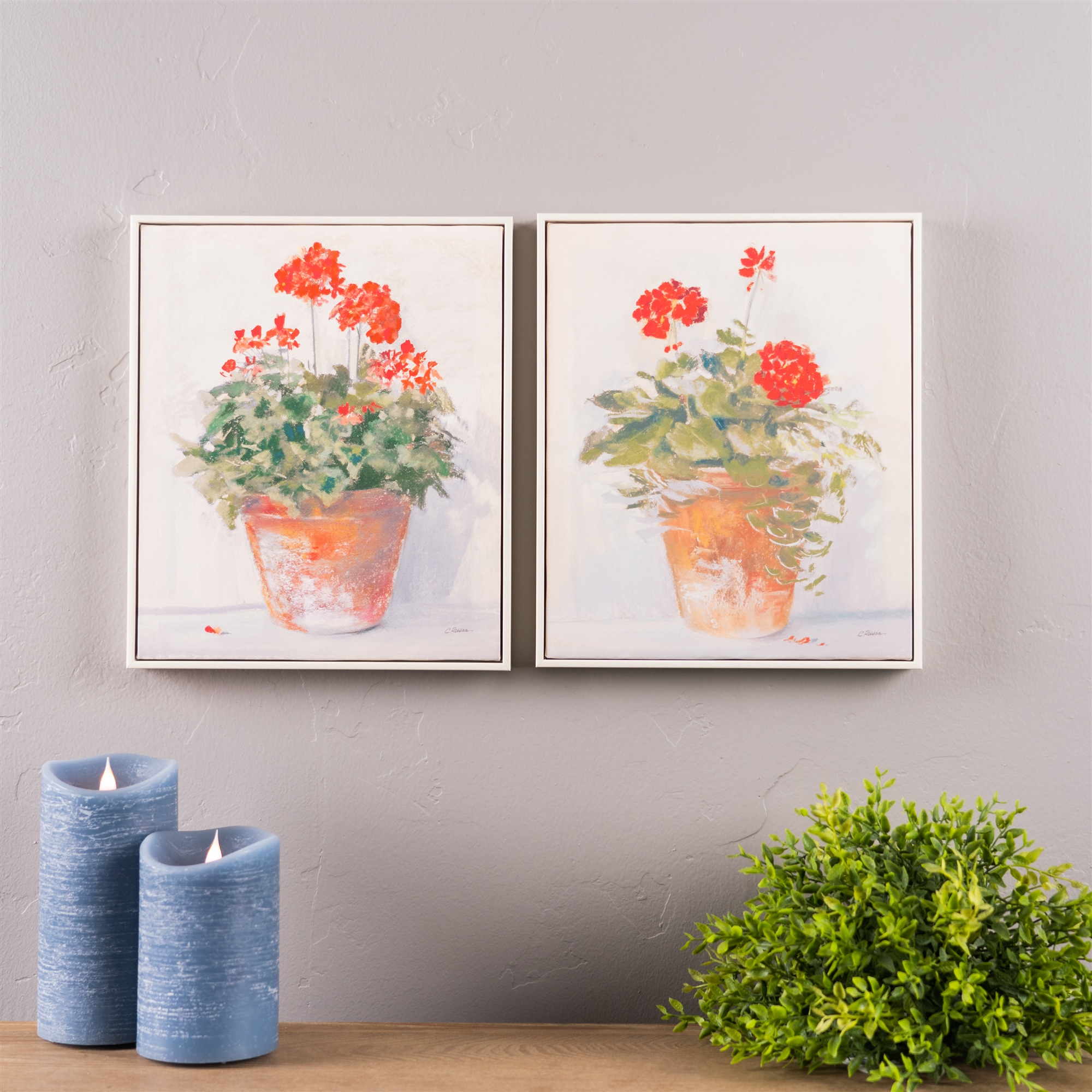 Framed Potted Geranium Print (Set of 2) 10.5