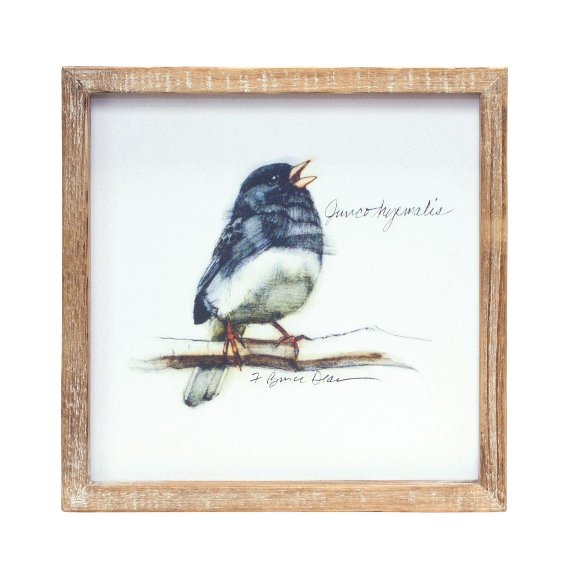 Framed Bird Print (Set of 4) 9.5