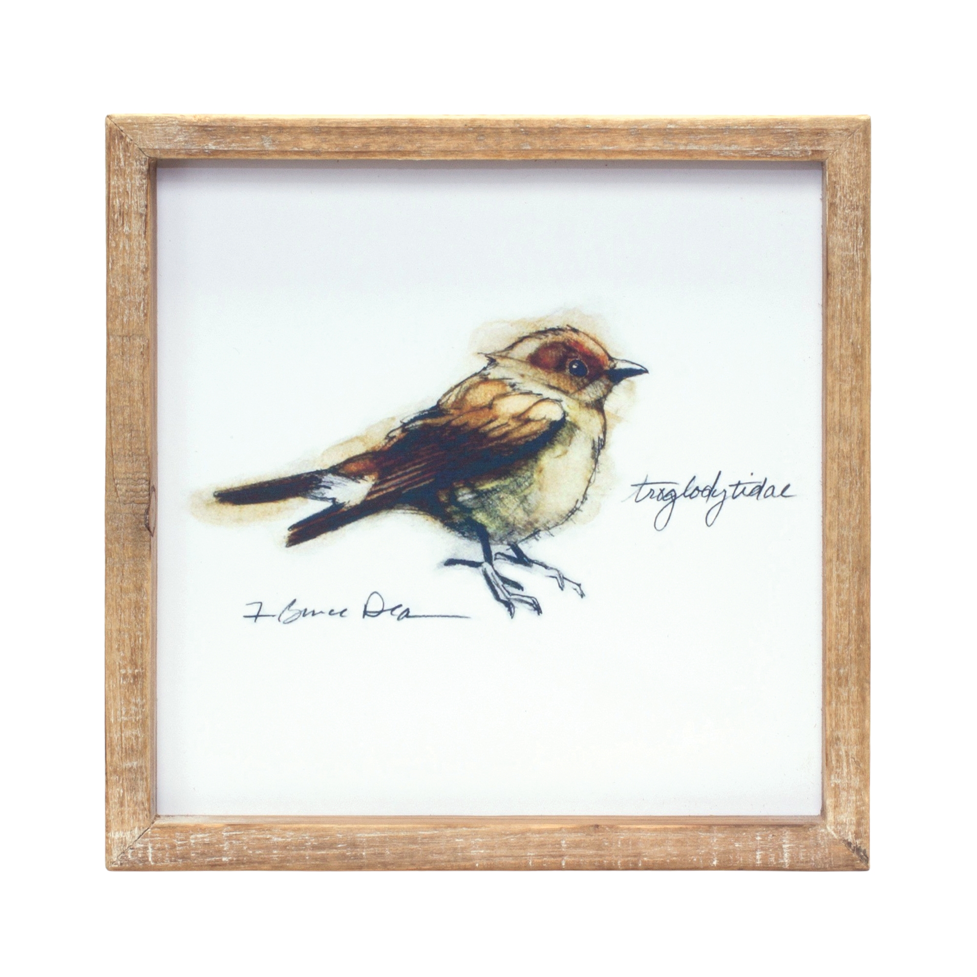 Framed Bird Print (Set of 4) 9.5