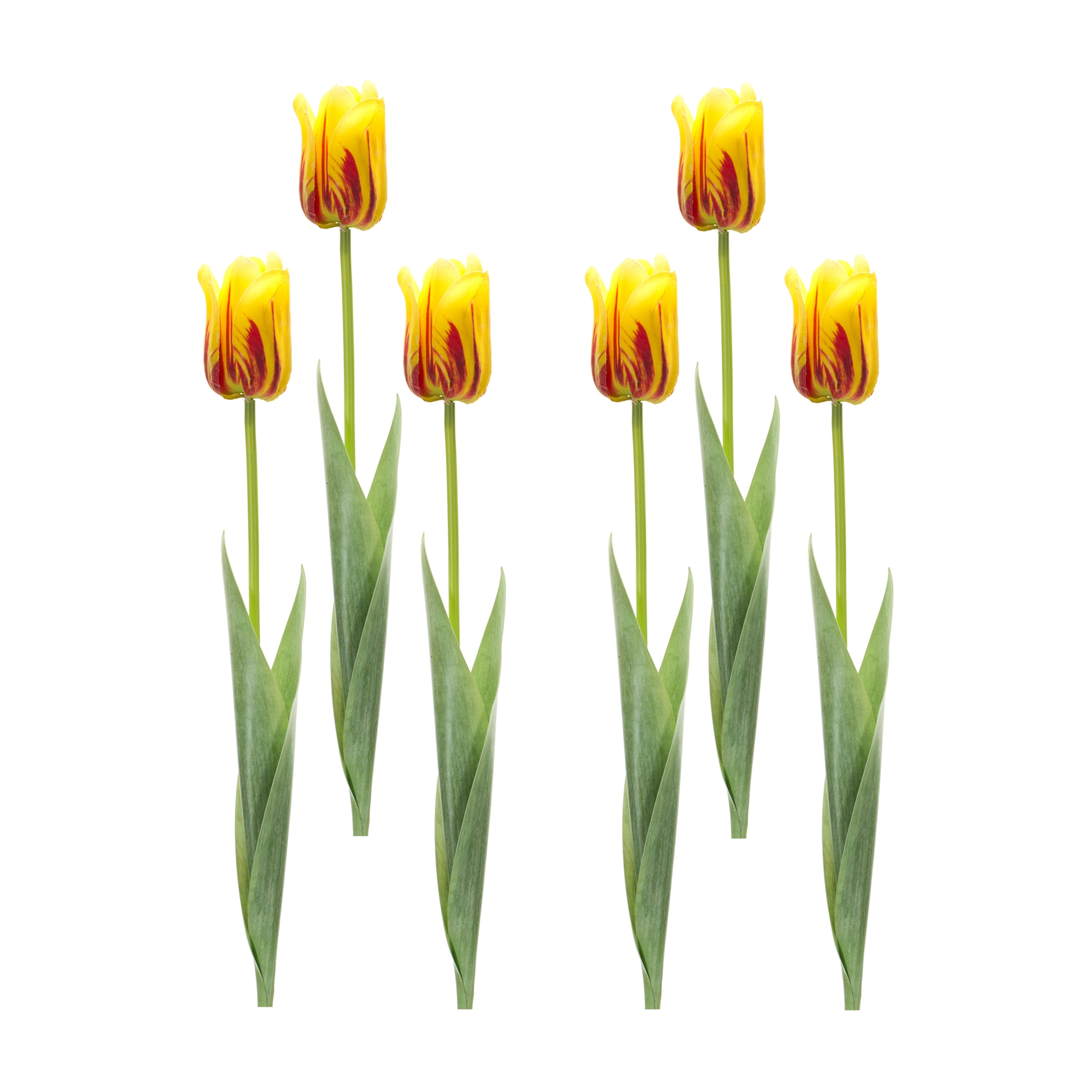 Tulip Stem (Set of 6) 27