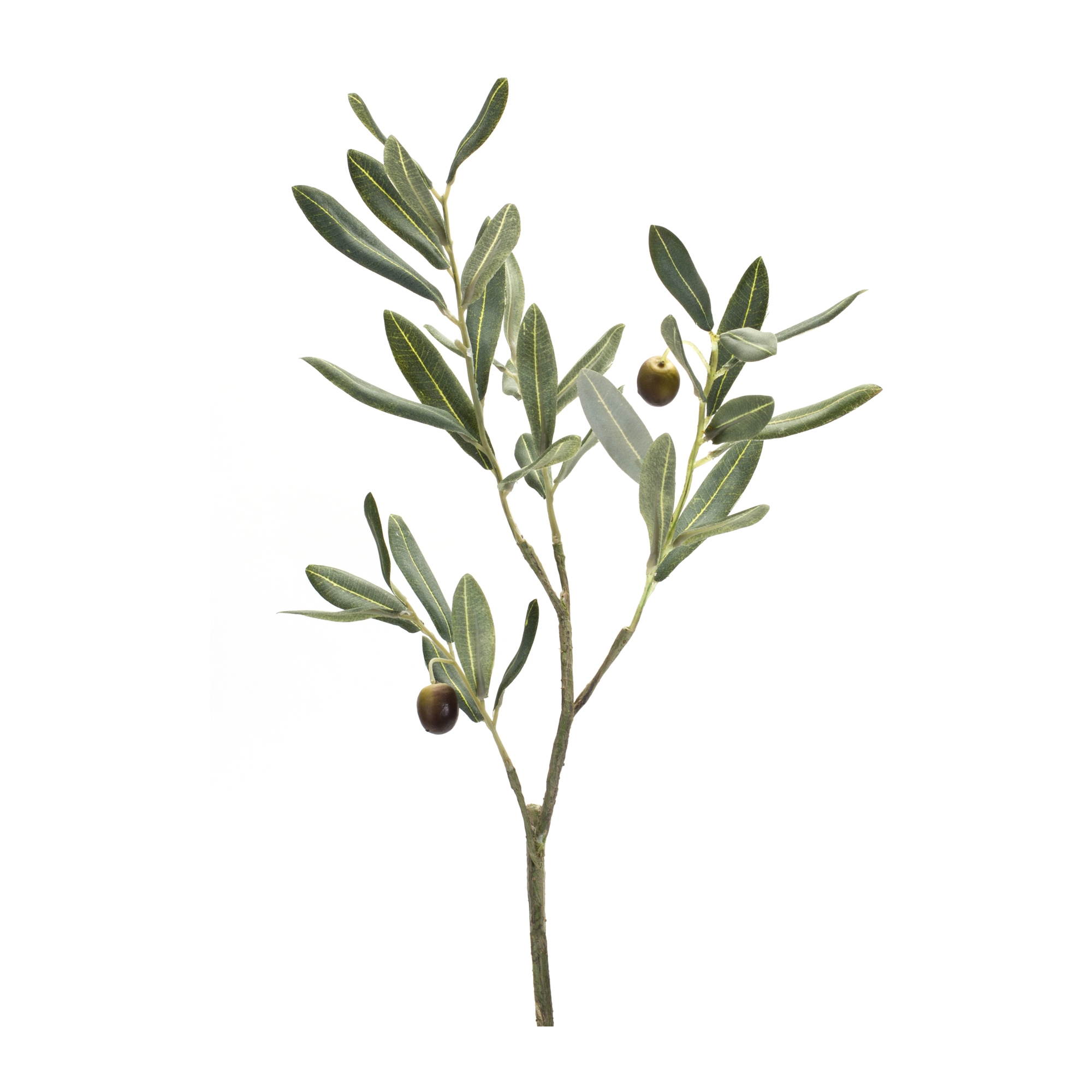 Olive Spray (Set of 6) 21