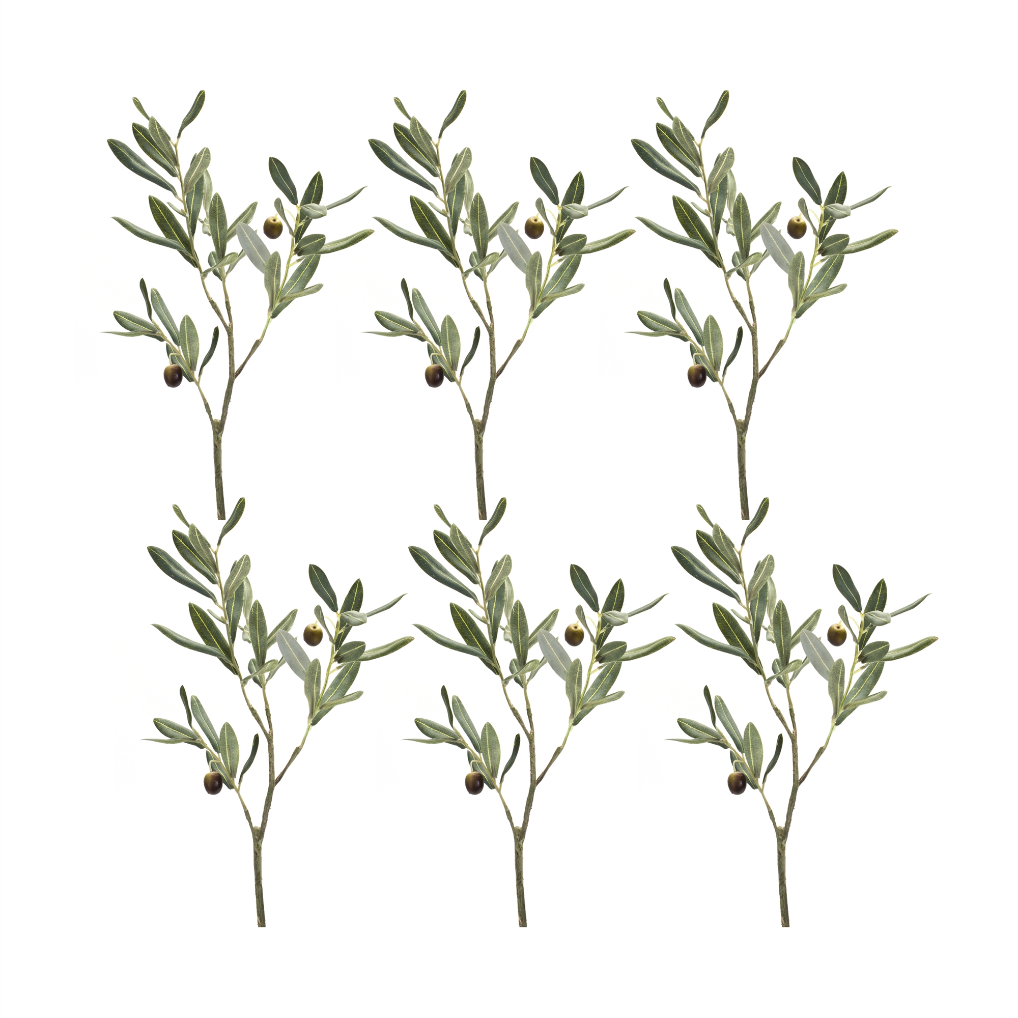 Olive Spray (Set of 6) 21