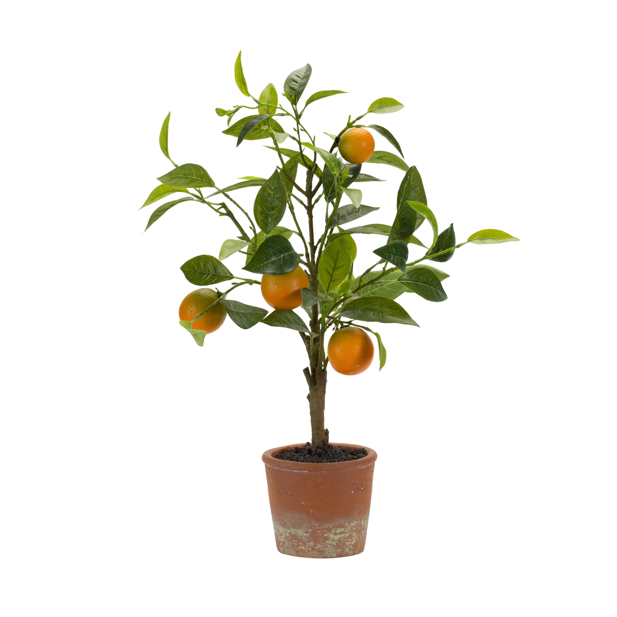 Potted Orange Tree 21.5