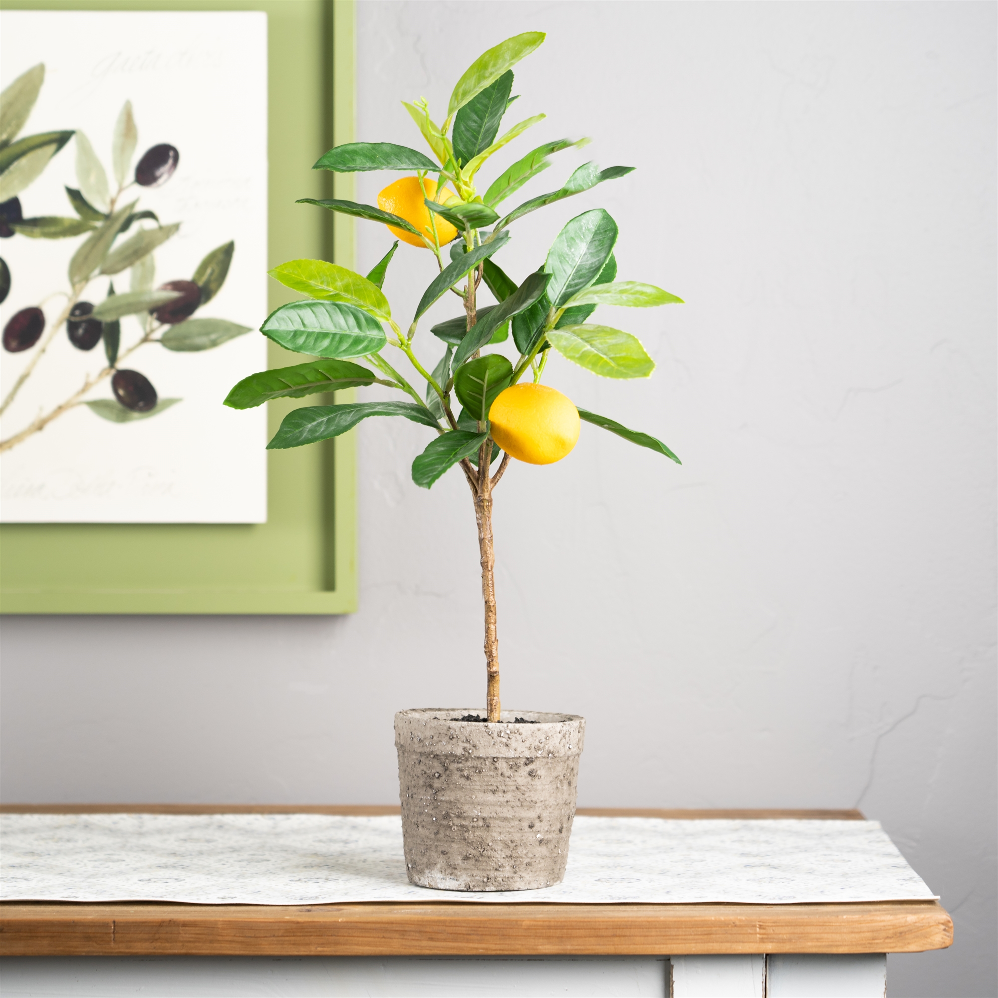 Potted Lemon Tree (Set of 2) 19.5