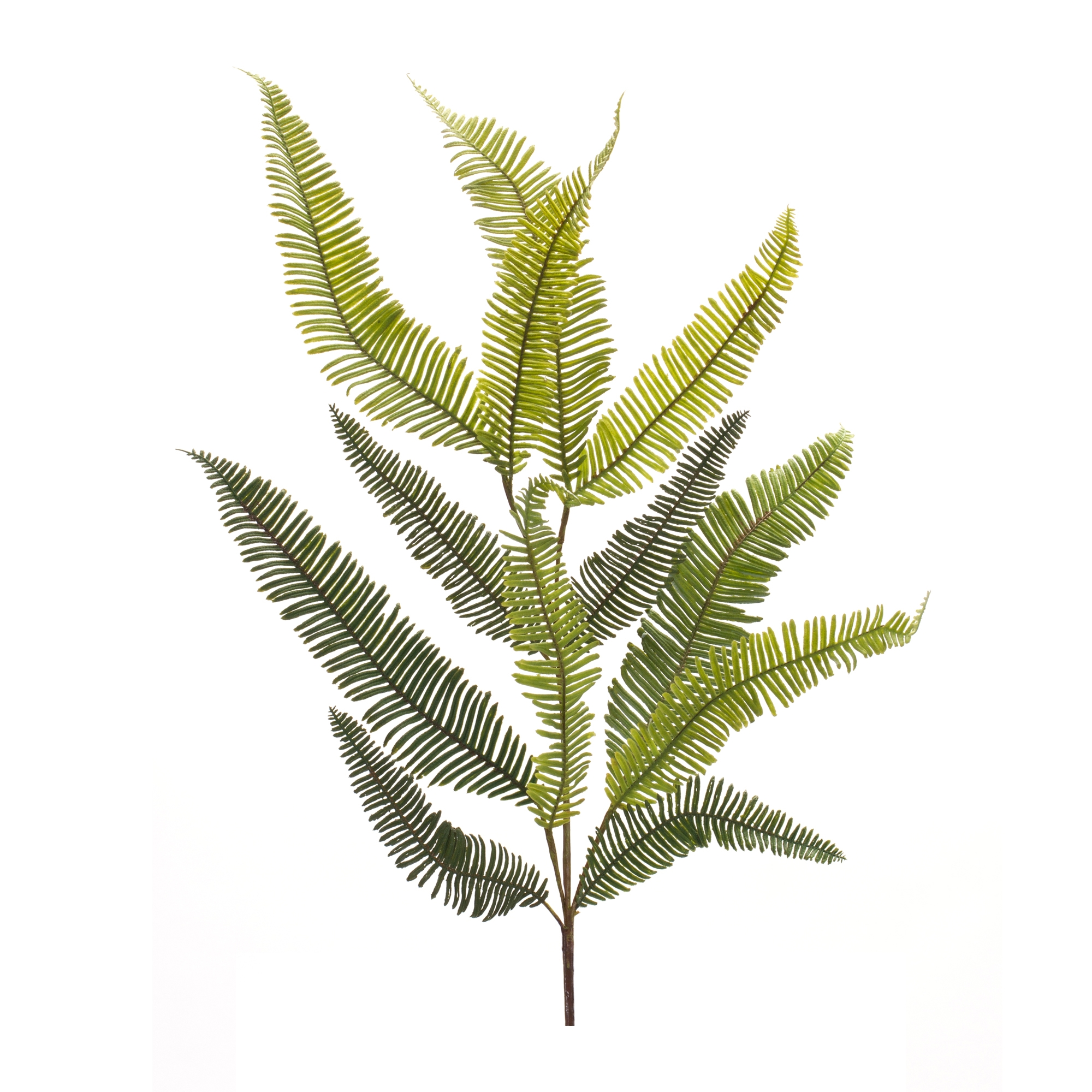 Fern Spray (Set of 6) 39