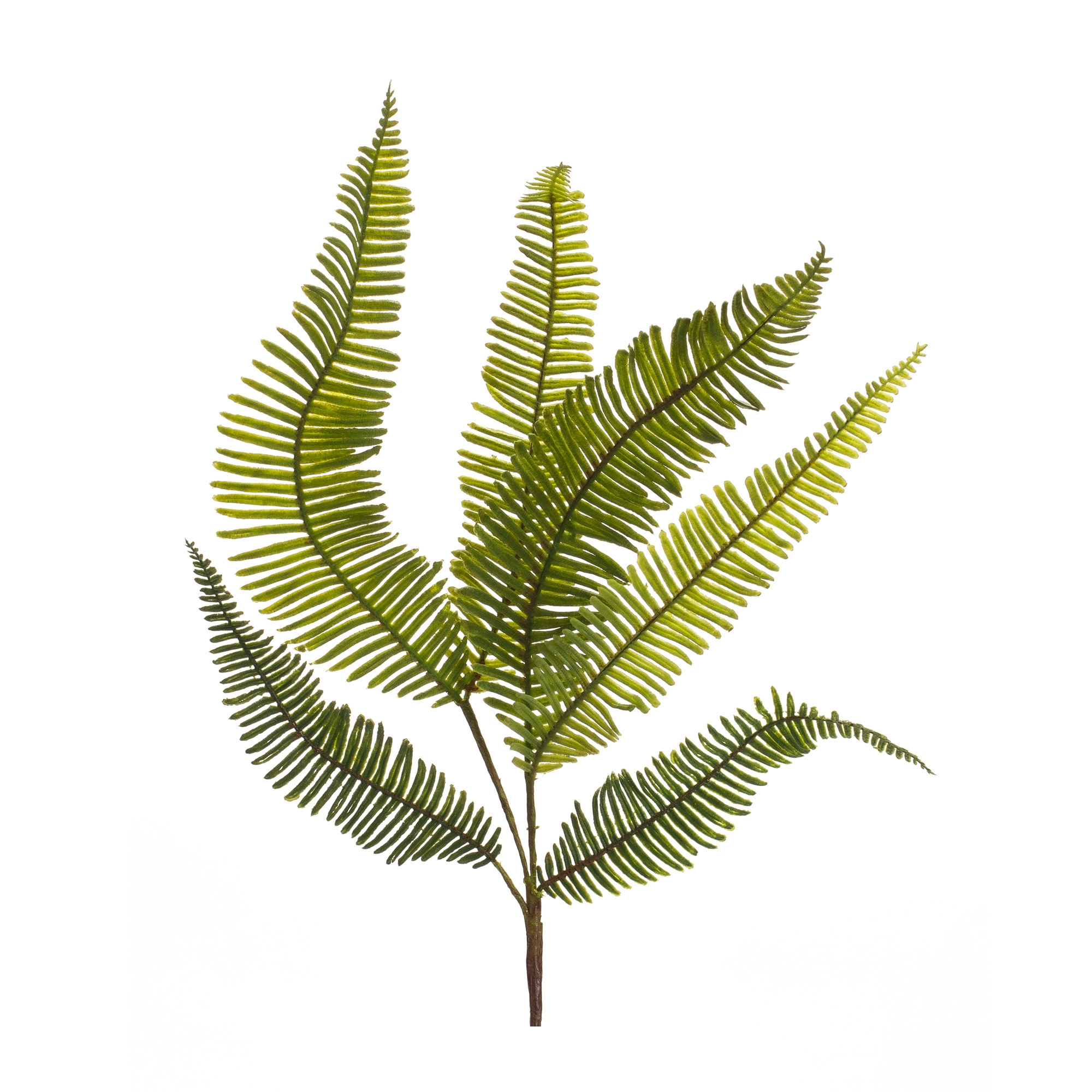 Fern Spray (Set of 6) 28