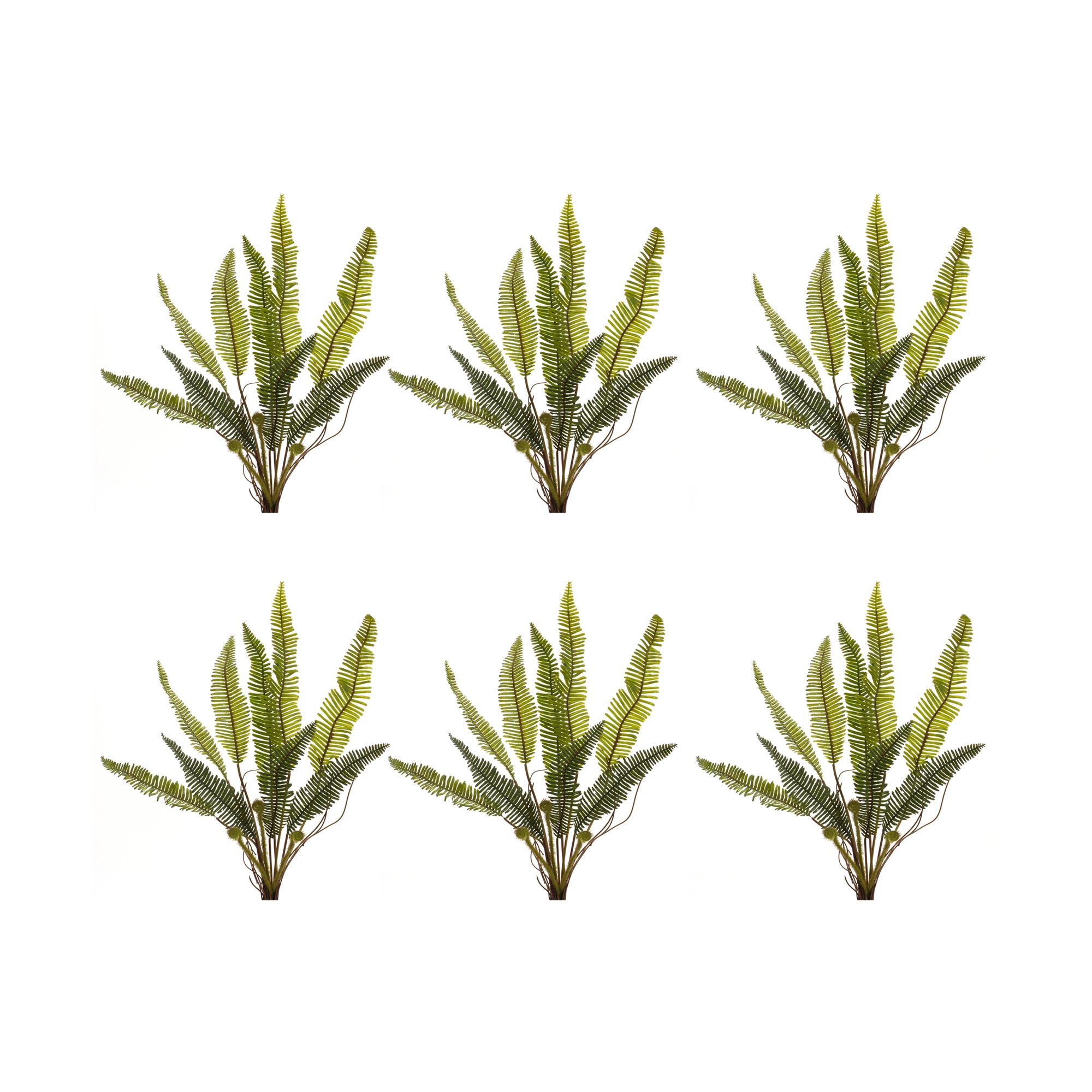 Fern Plant (Set of 6) 17.5
