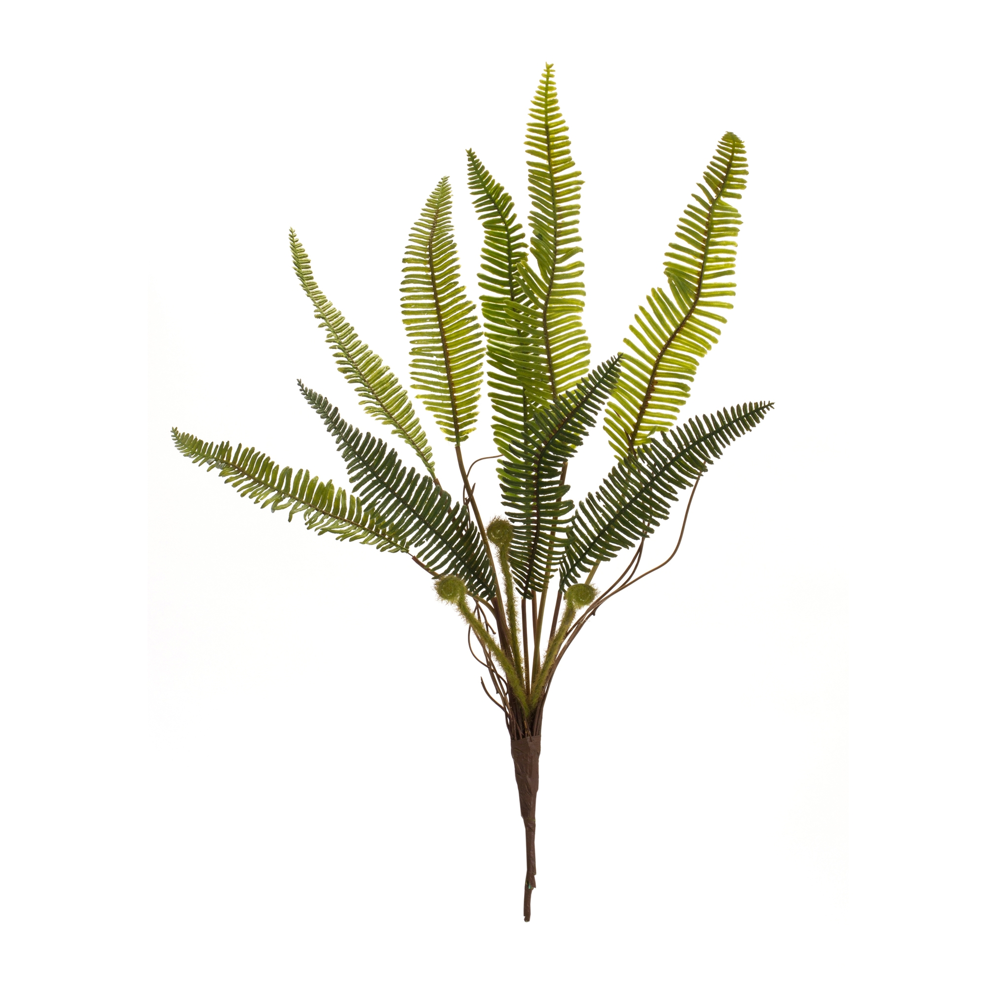 Fern Plant (Set of 6) 17.5