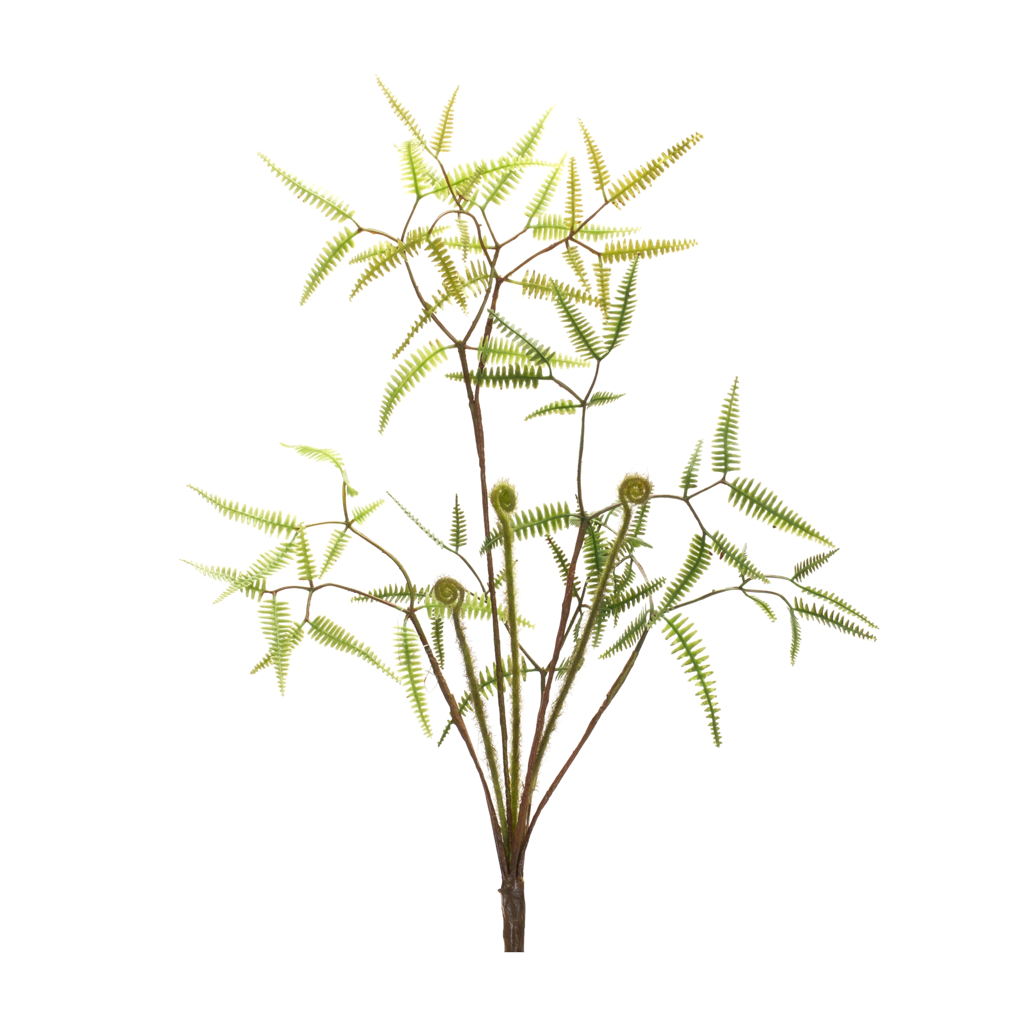 Mini Fern Bush (Set of 6) 19
