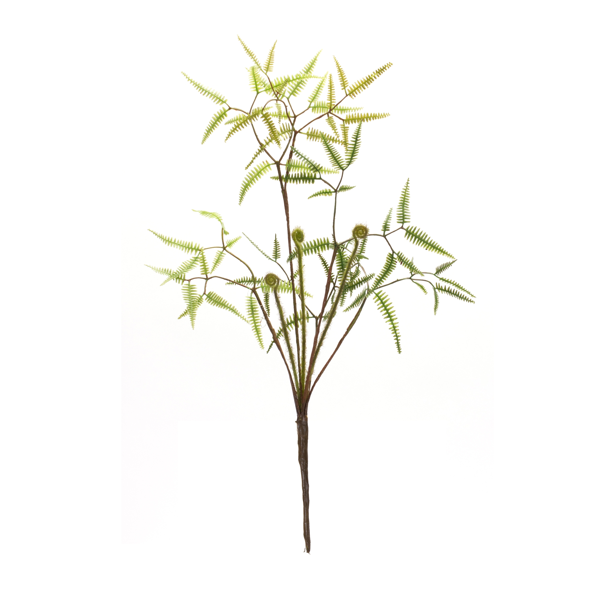Mini Fern Bush (Set of 6) 19