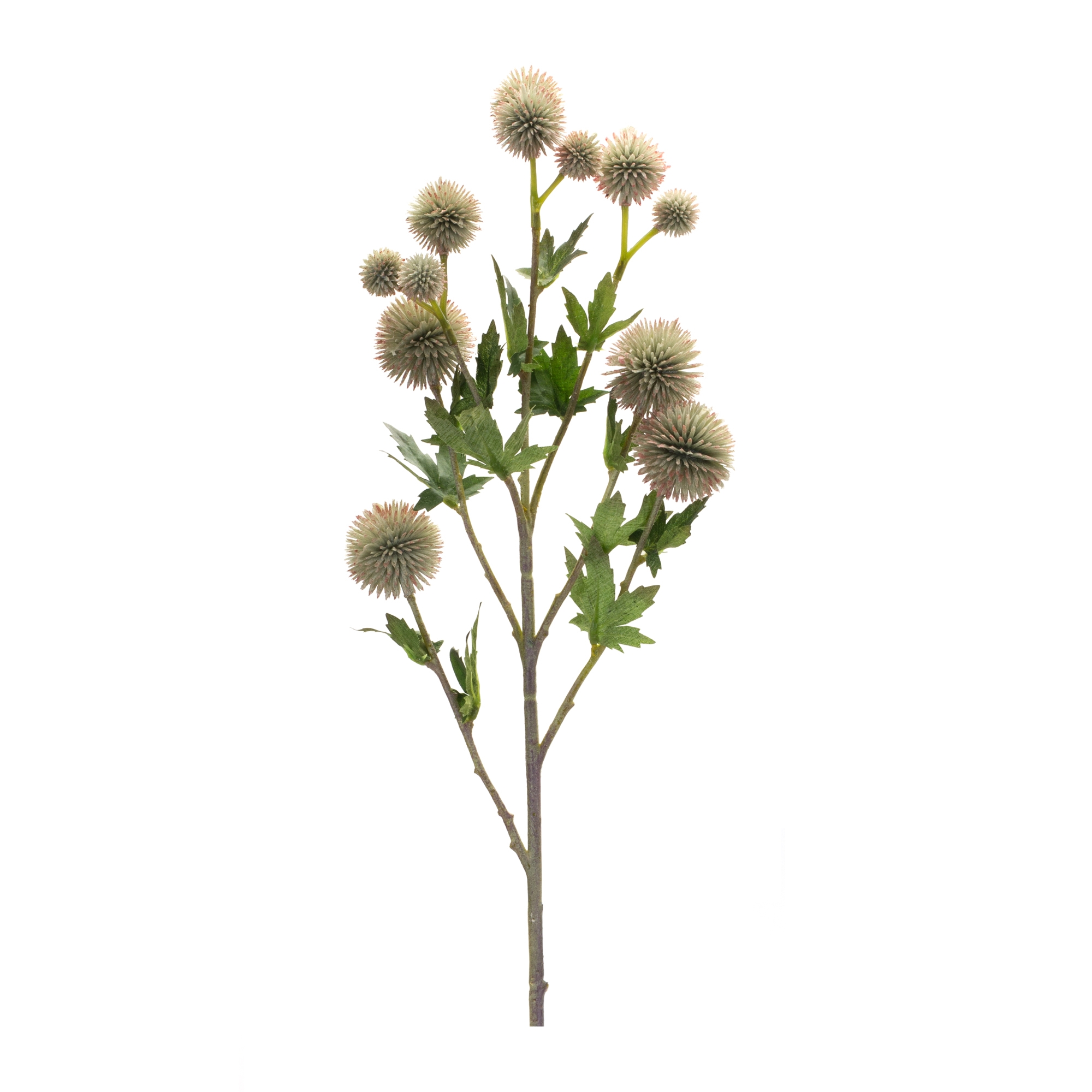 Allium Spray (Set of 6) 26