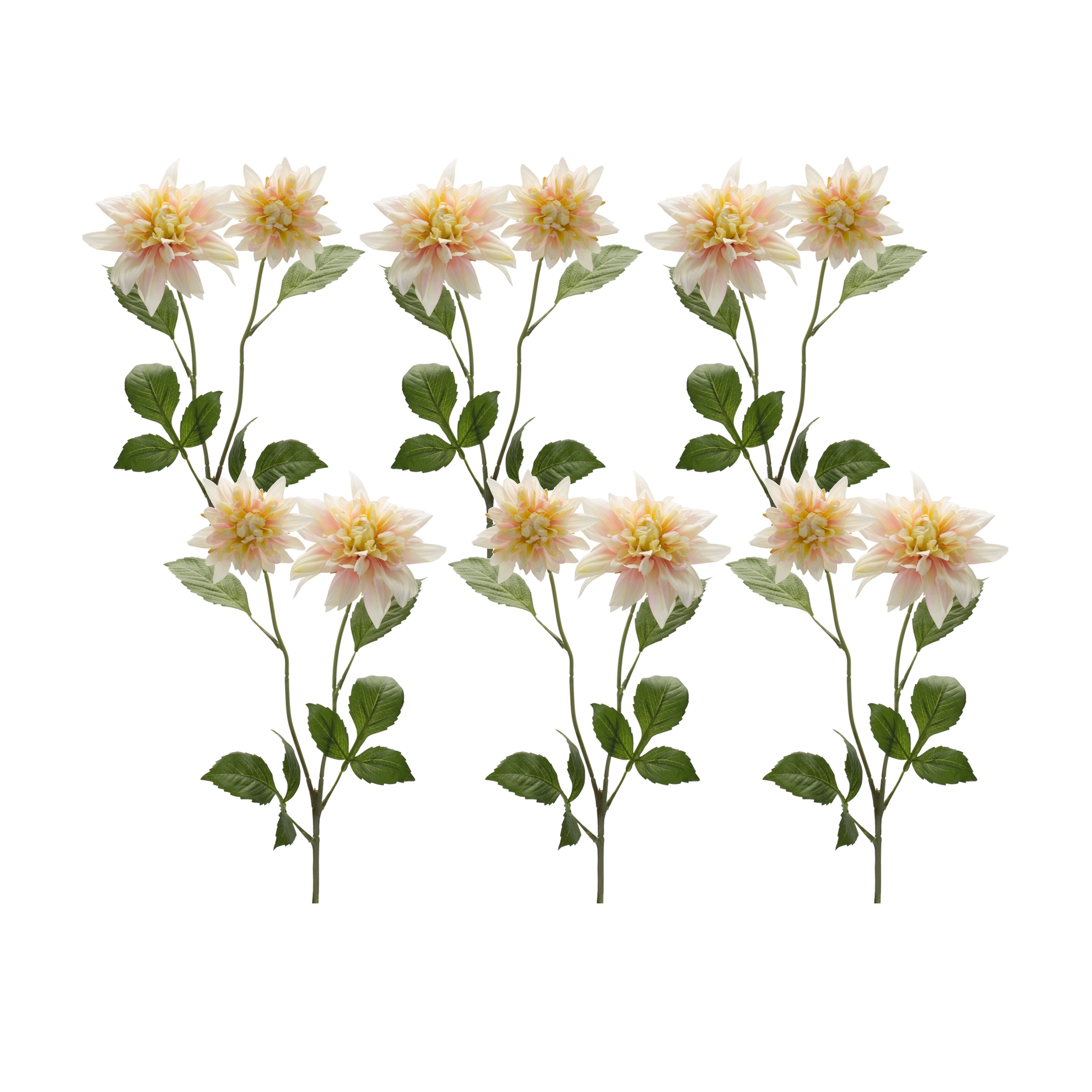 Dahlia (Set of 6) 29.5