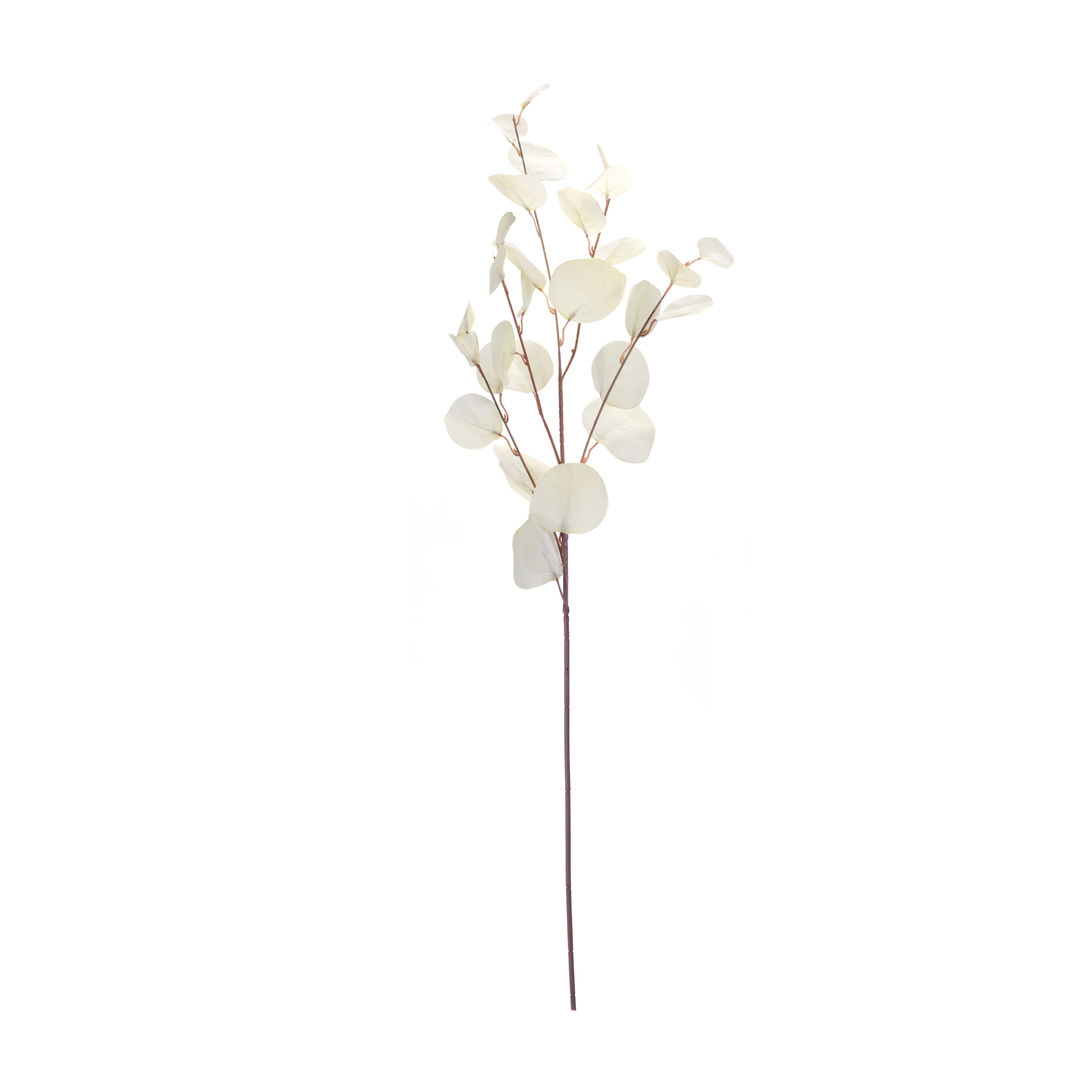 Eucalyptus Spray (Set of 6) 34