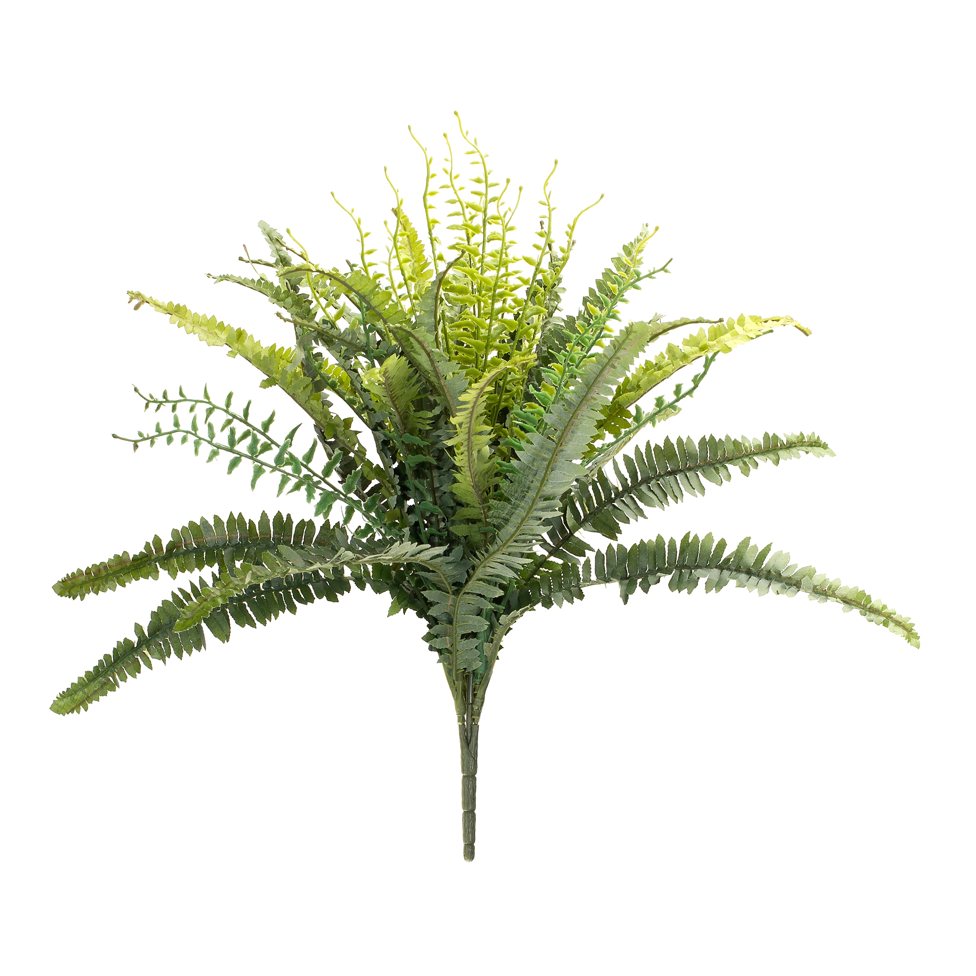 Mixed Fern Bush (Set of 2) 22