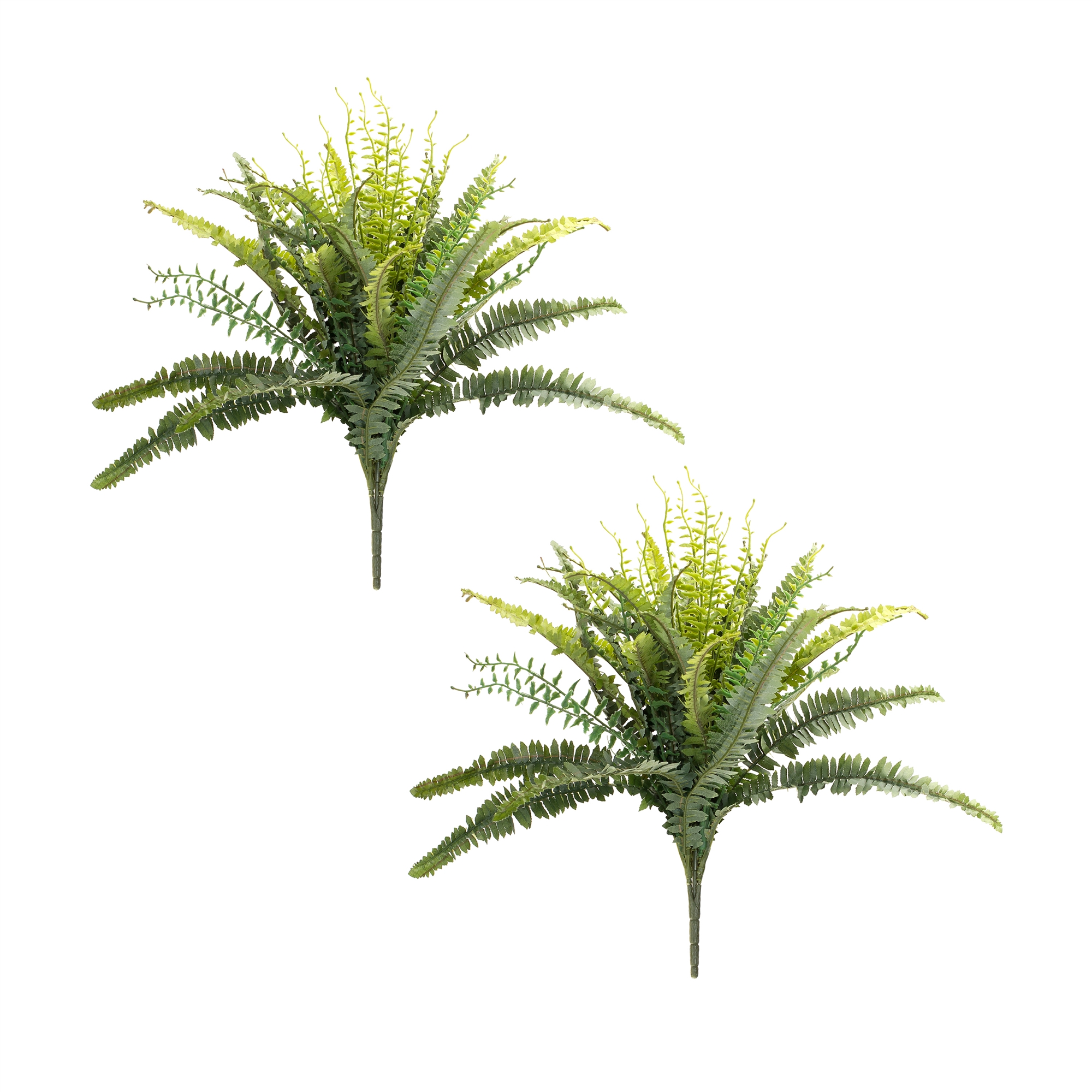 Mixed Fern Bush (Set of 2) 22
