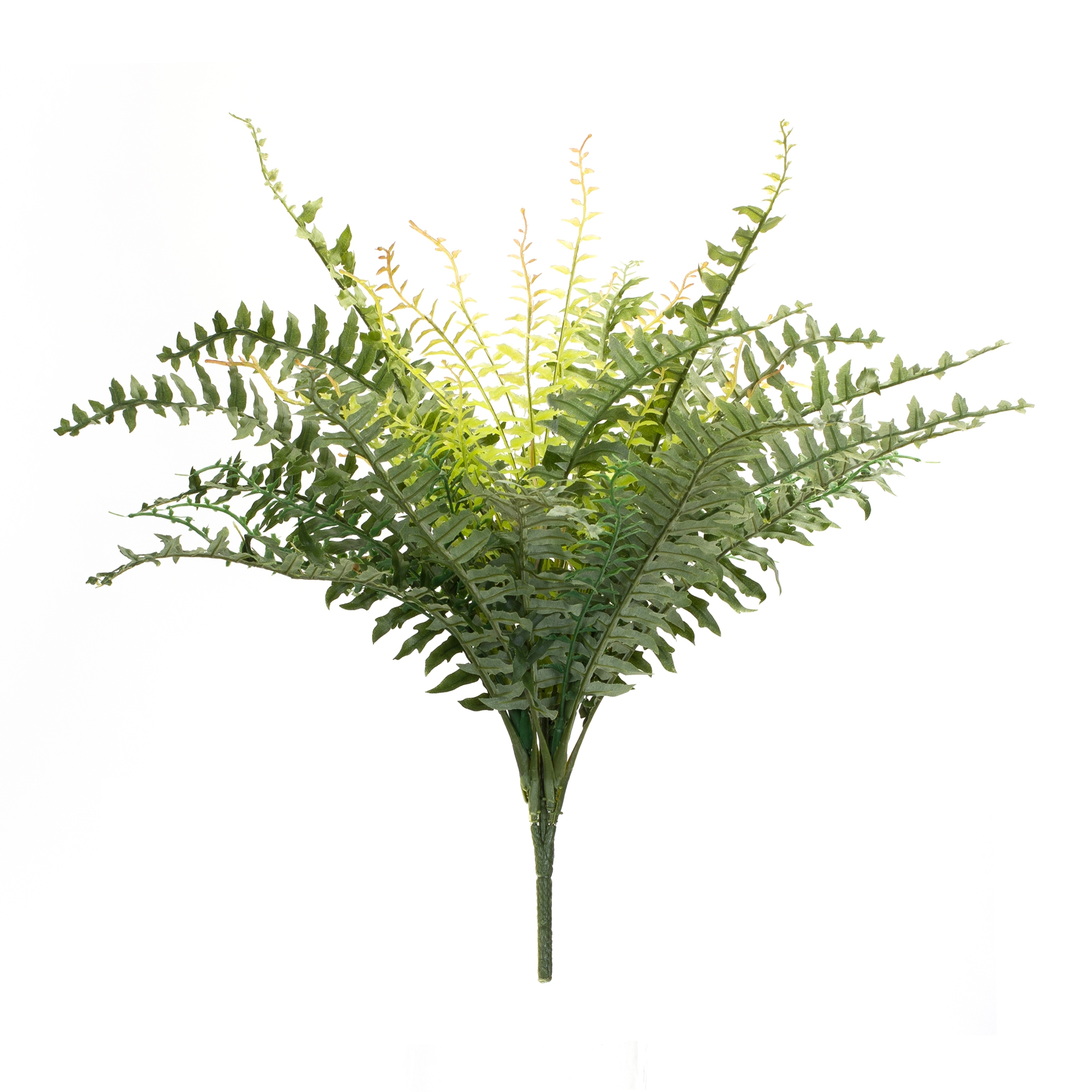 Fern Bush (Set of 2) 22.5