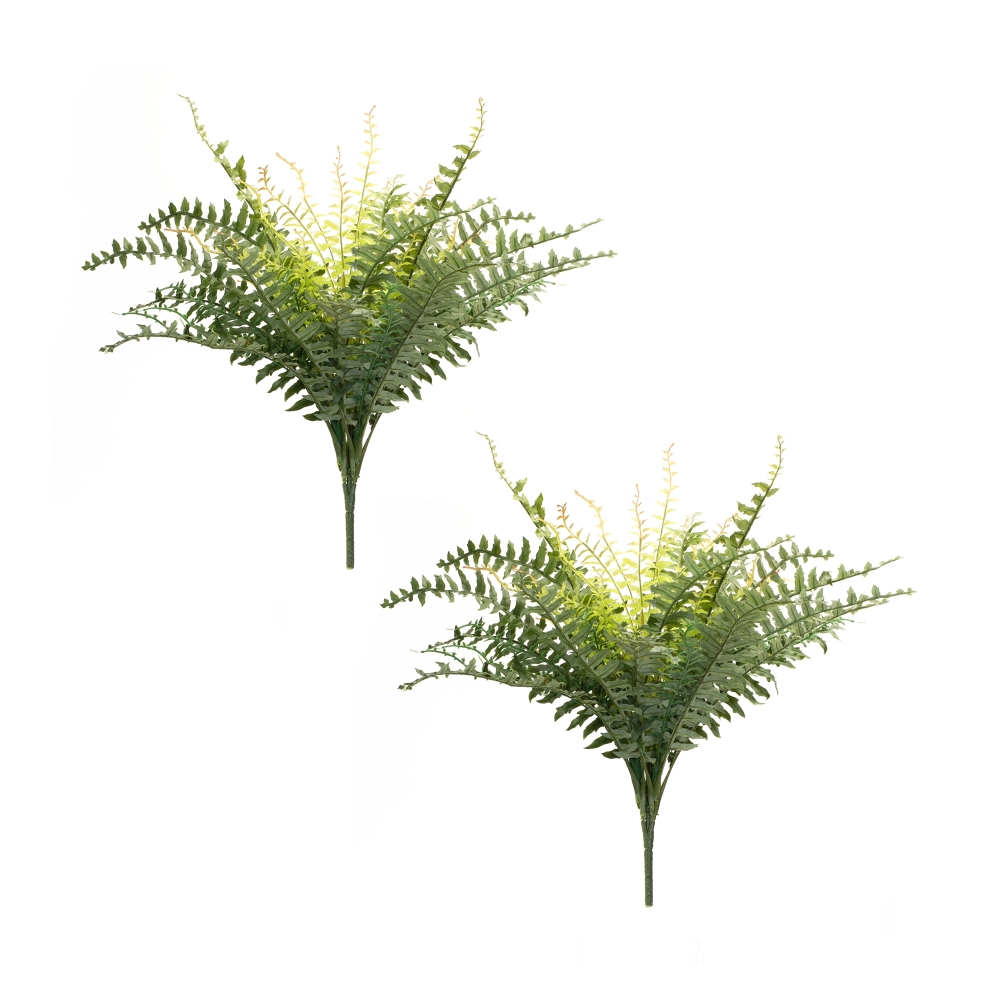 Fern Bush (Set of 2) 22.5