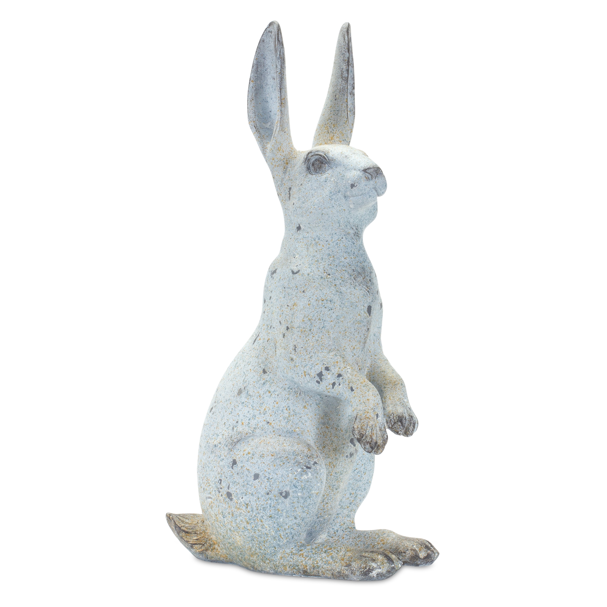 Rabbit 17