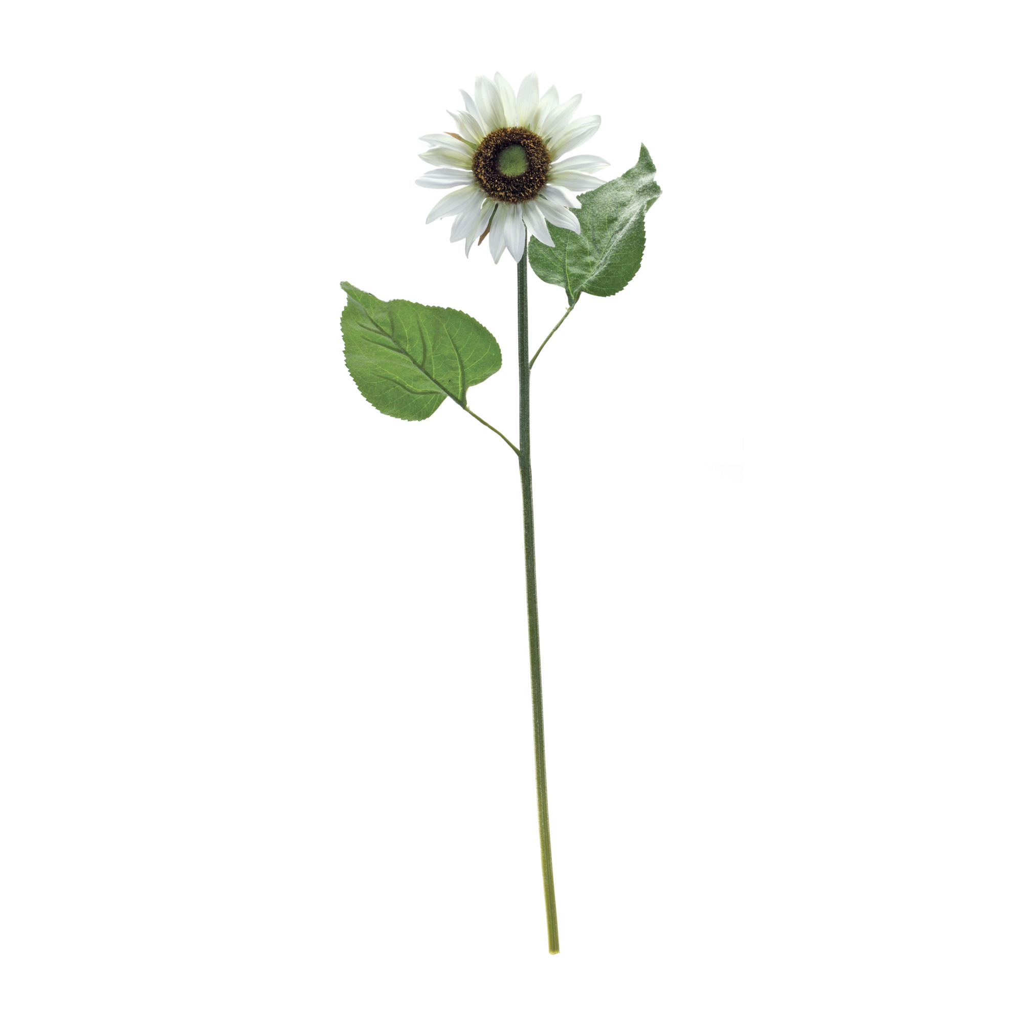 Sunflower Stem (Set of 6) 22.75