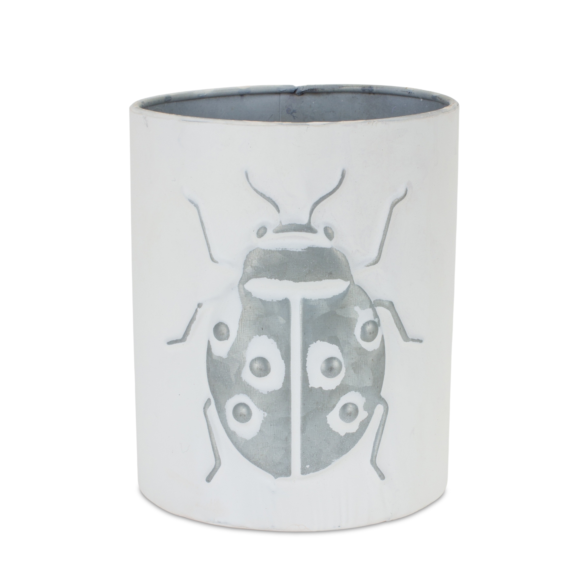 Insect Pot (Set of 3) 4.5