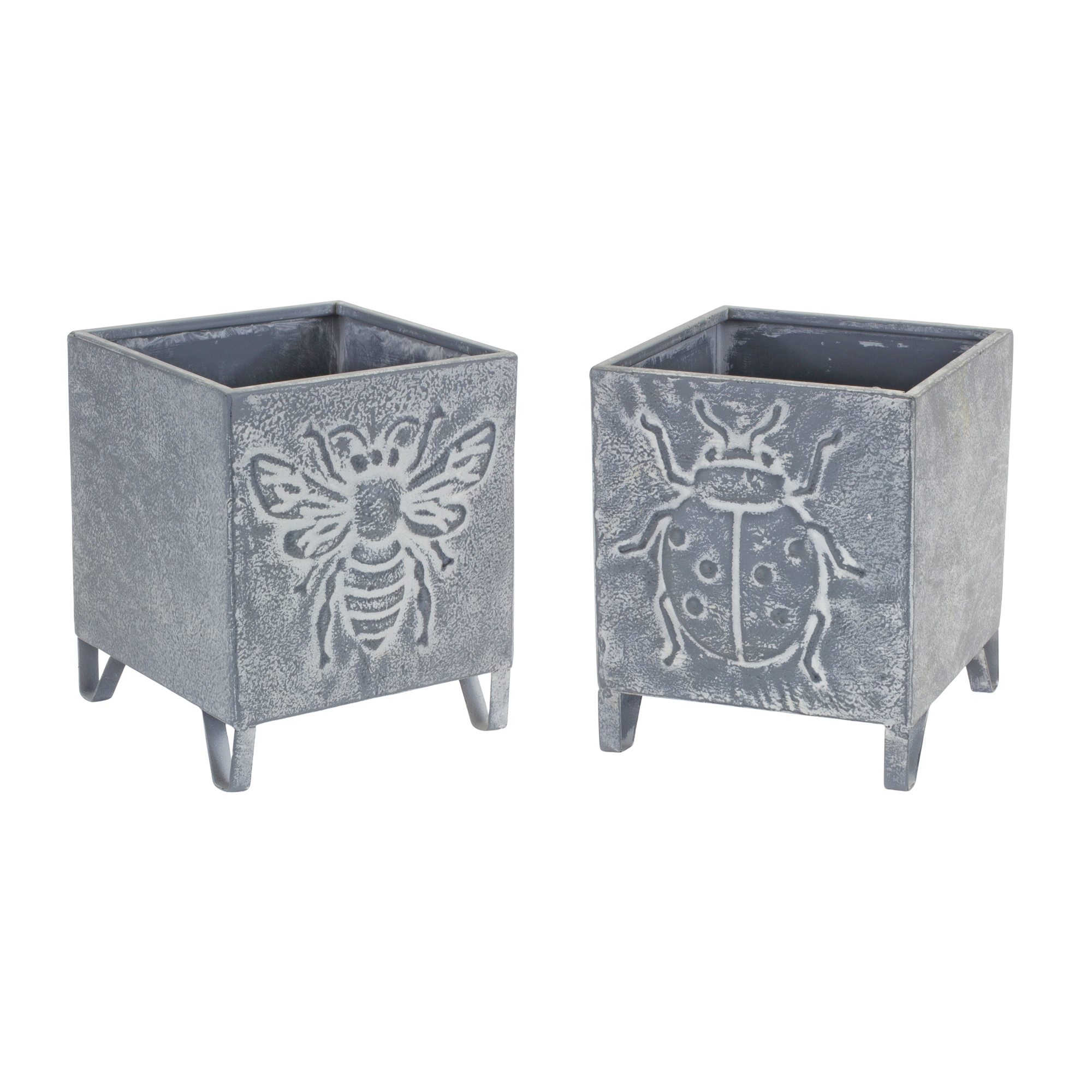 Insect Pot (Set of 2) 6.75