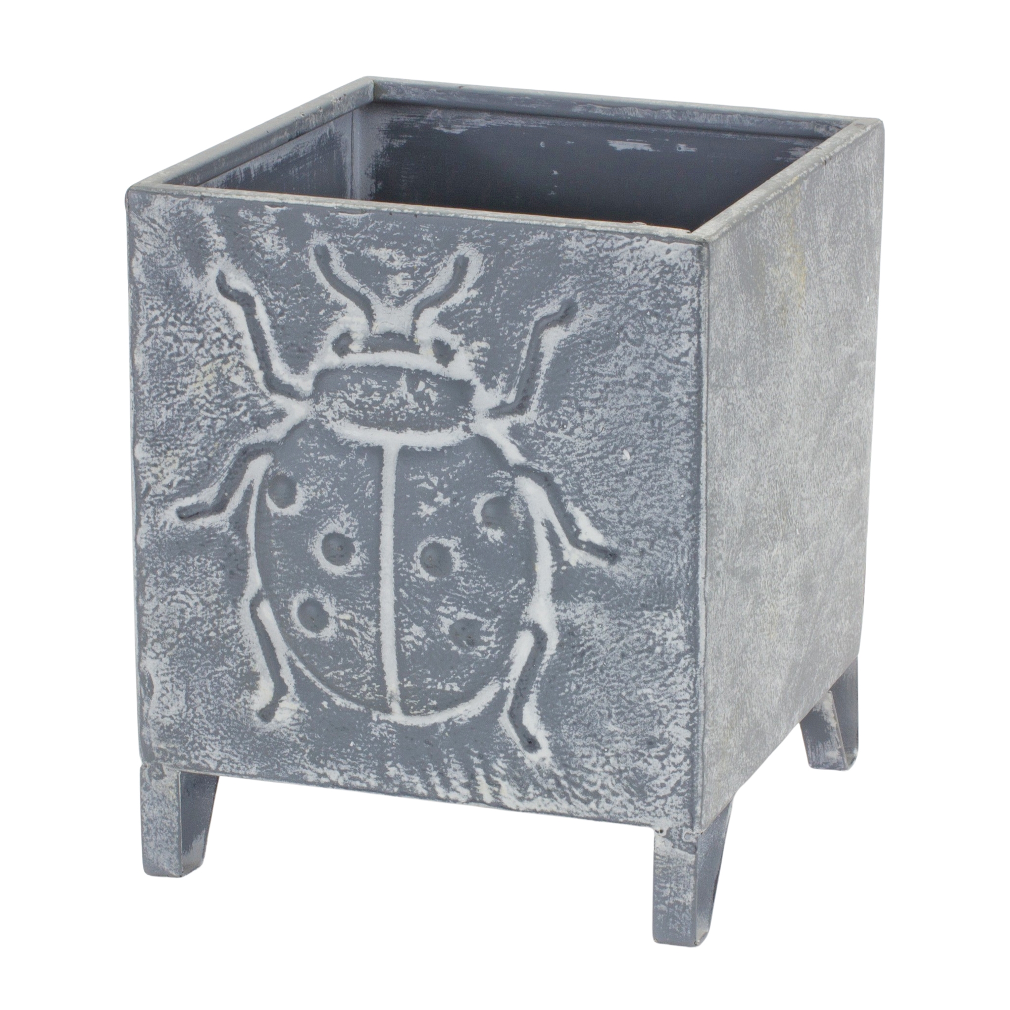 Insect Pot (Set of 2) 6.75