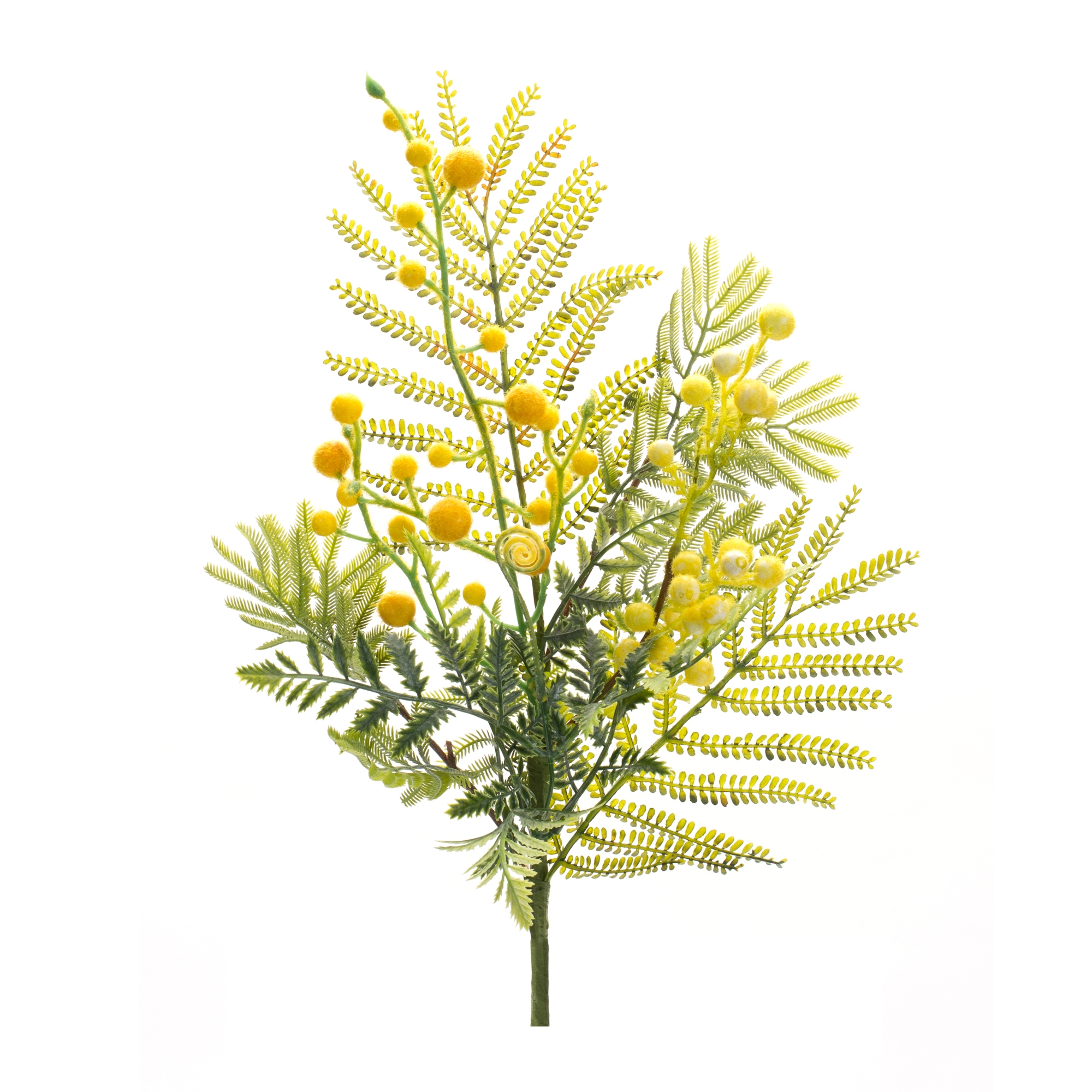 Mimosa Spray (Set of 6) 21.5