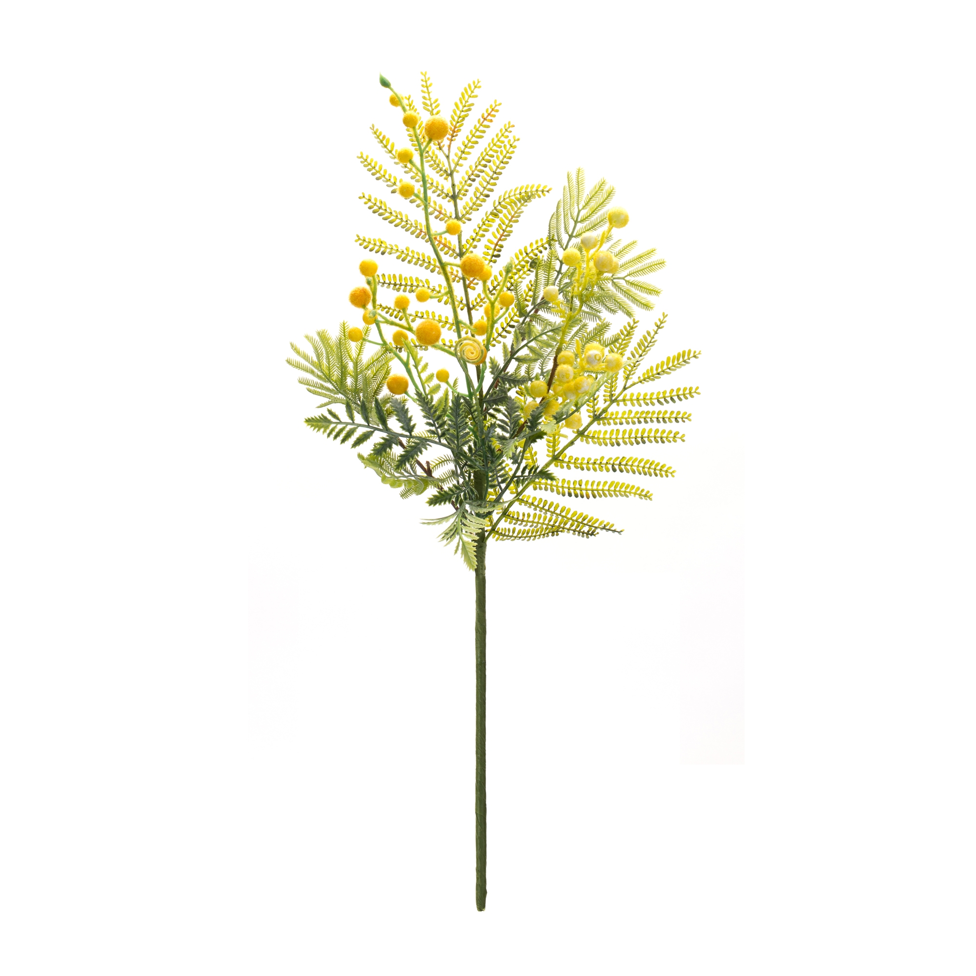 Mimosa Spray (Set of 6) 21.5