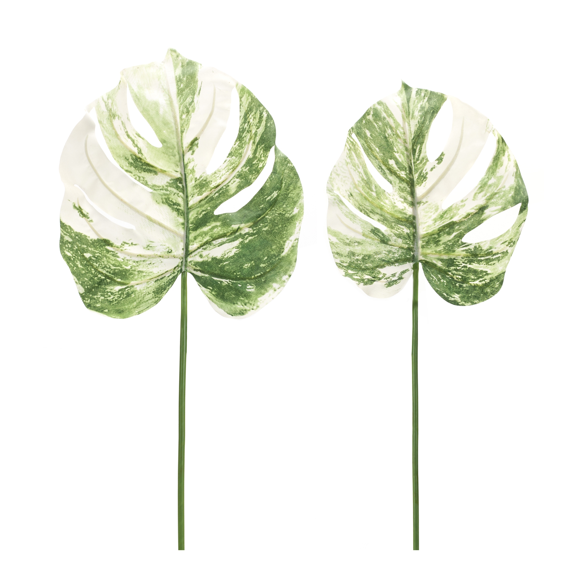 Philo Leaf (Set of 12) 28